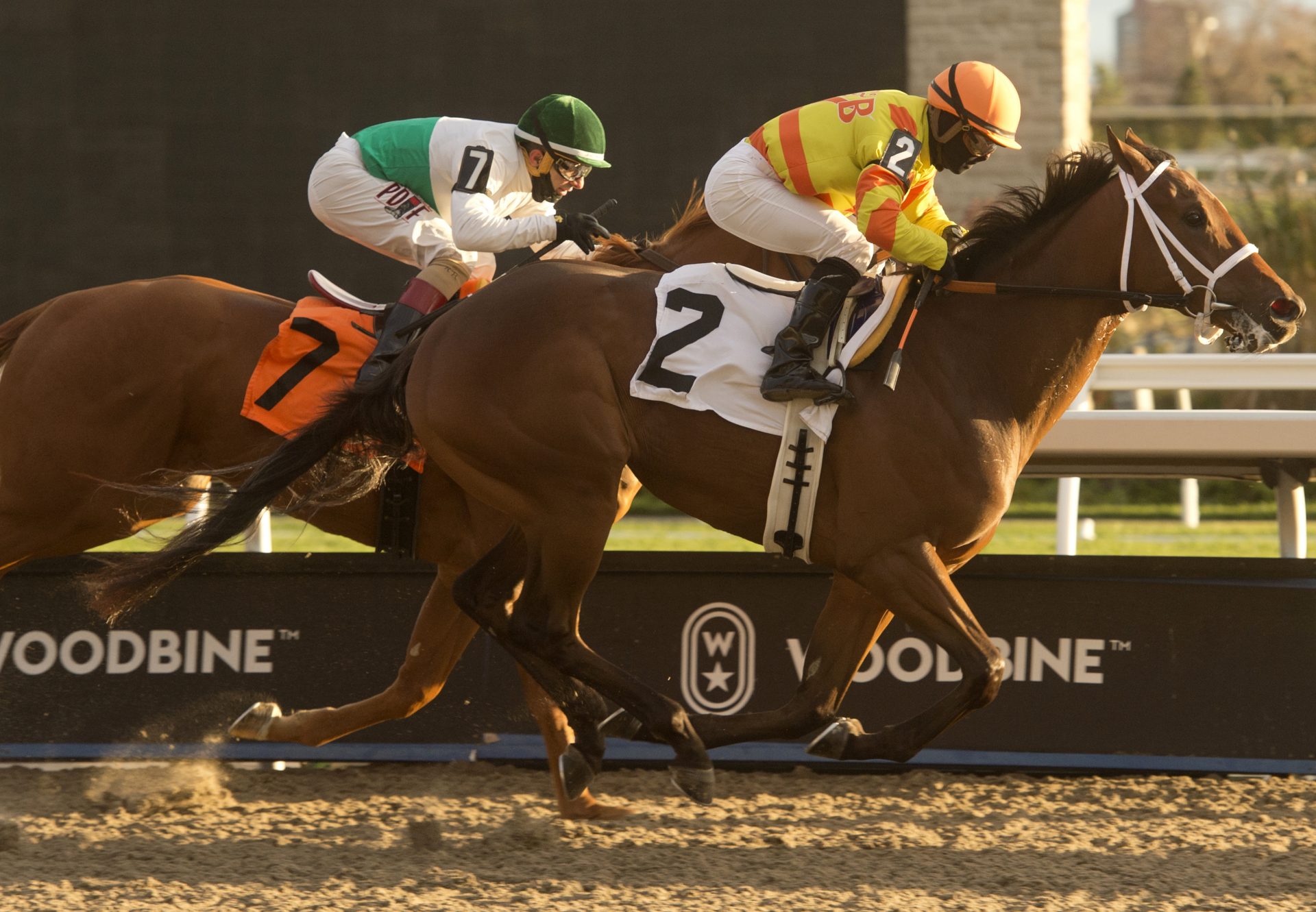 Haddassah (Air Force Blue) Wins At Woodbine