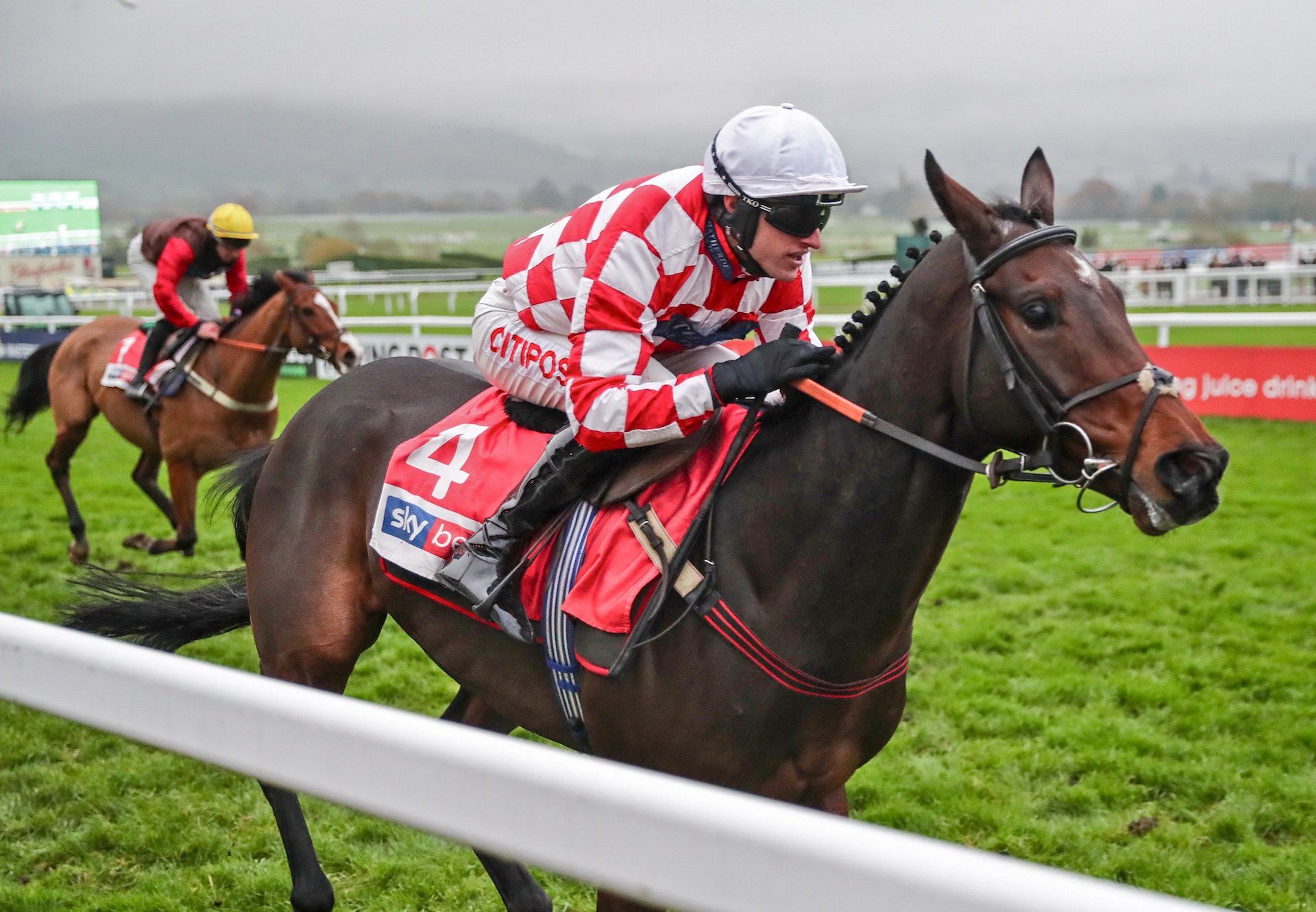 Hang In There (Yeats) Wins The Grade 2 Supreme Novices Trial at Cheltenham