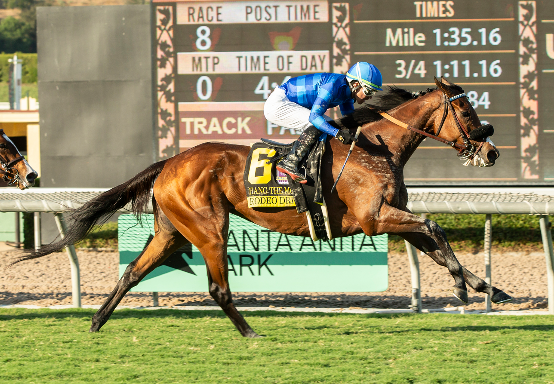 Hang The Moon (Uncle Mo) Wins Gr 2 Rodeo Drive