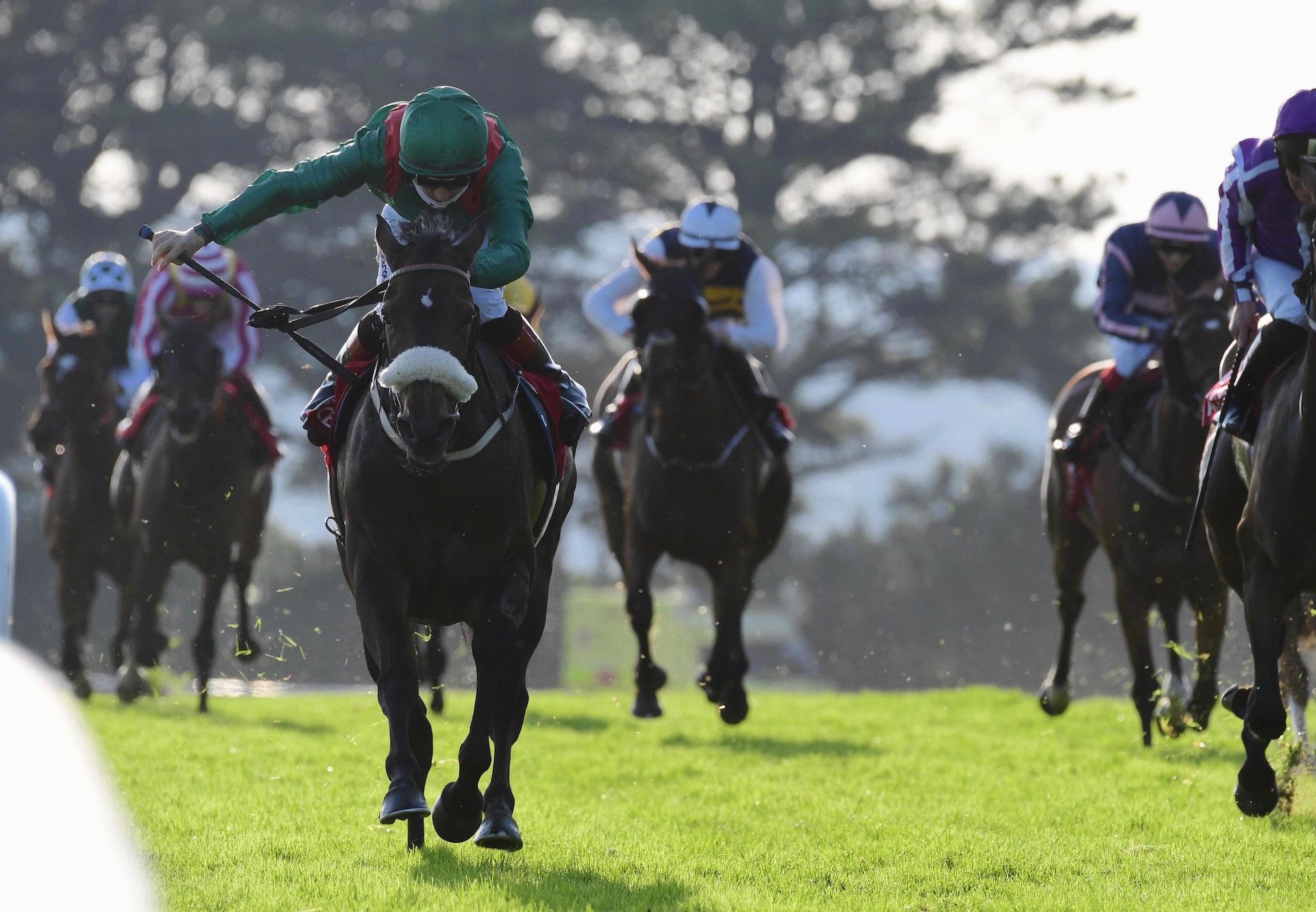 Haparanda (Rock Of Gibraltar) Wins The Listed Oyster Stakes At Galway