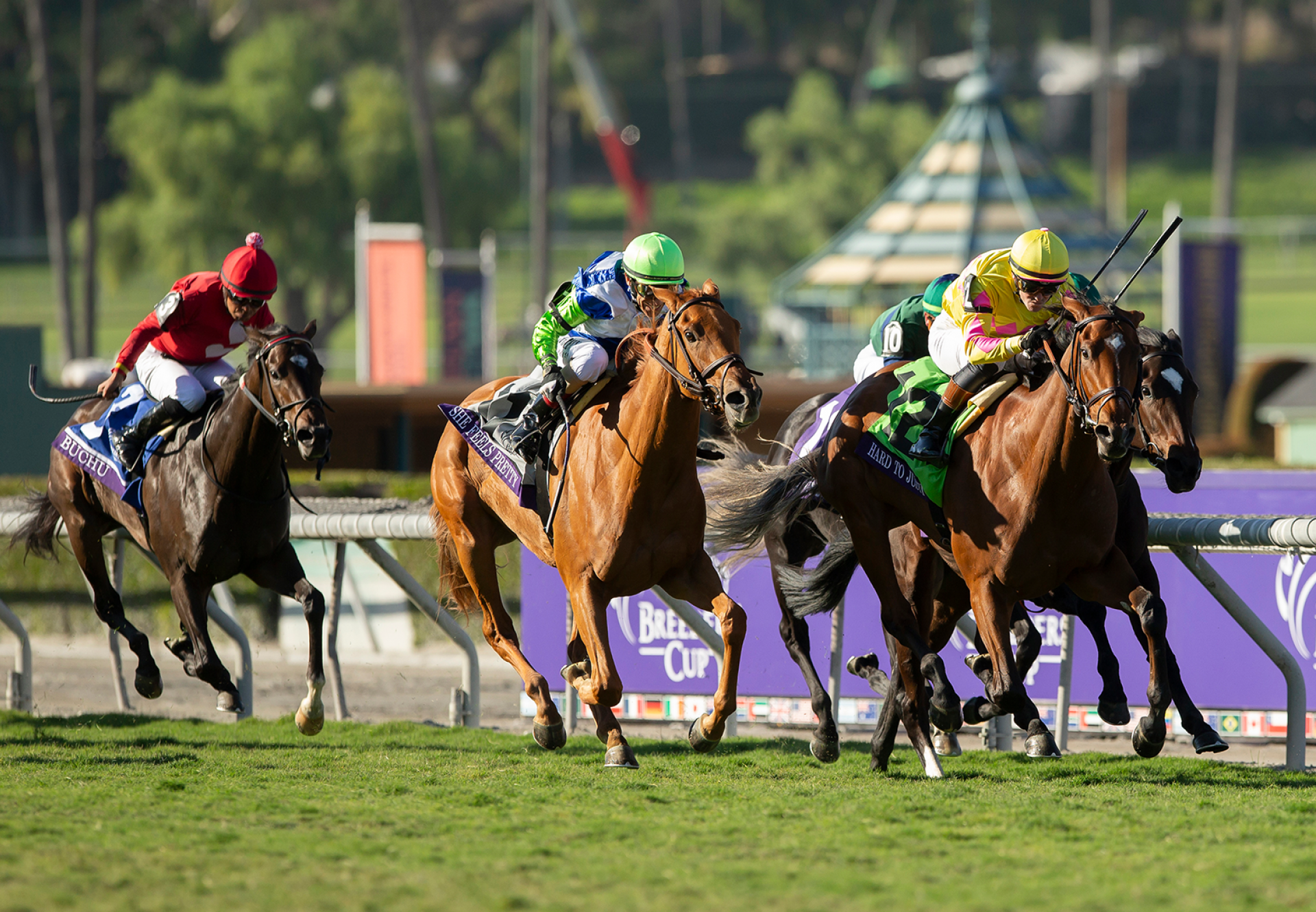 Hard To Justify (Justify) Wins Gr.1 Breeders Cup Juvenile Fillies Turf at Santa Anita