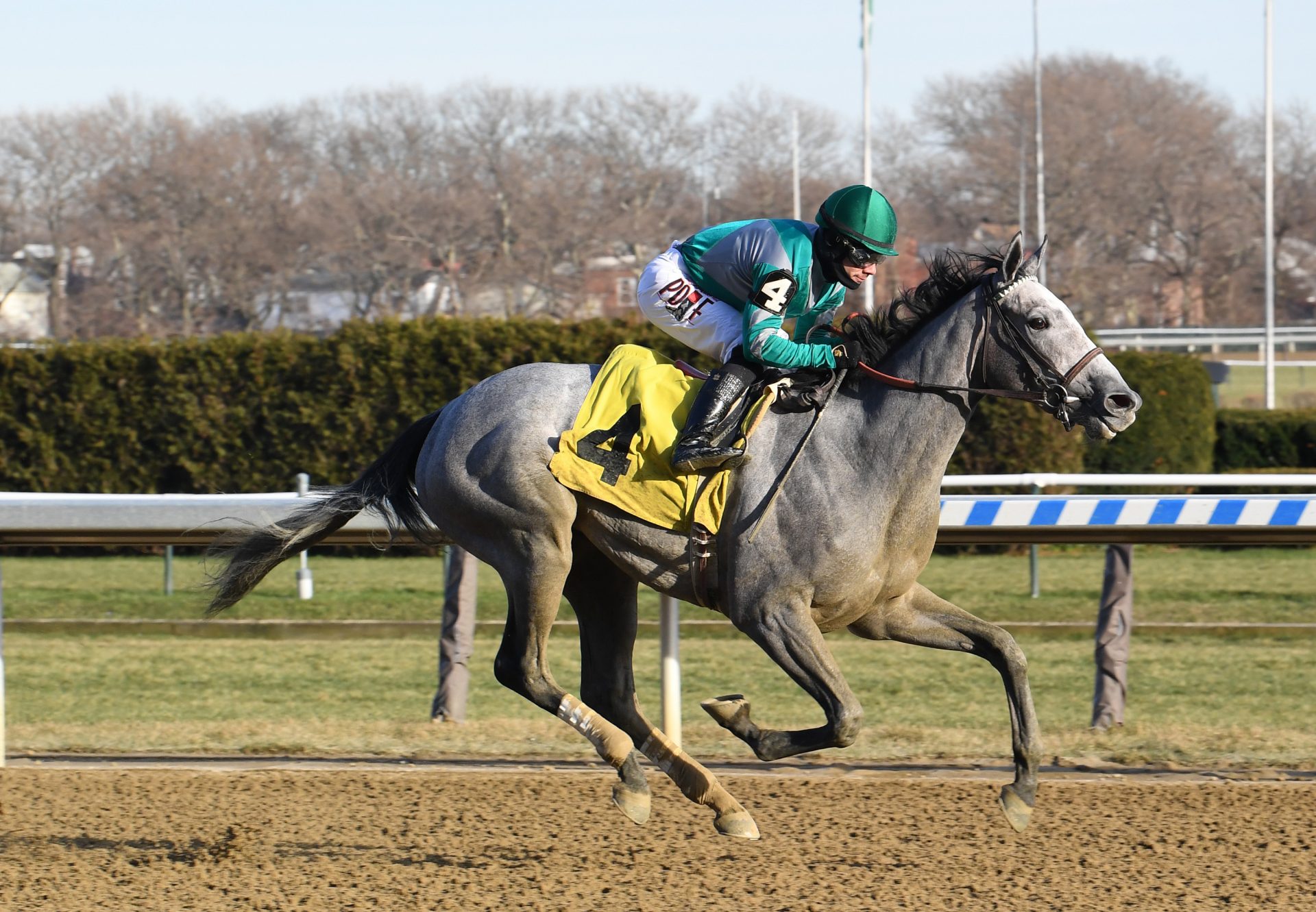 Harveys Lil Goil American Pharoah Breaks Maiden Aqueduct