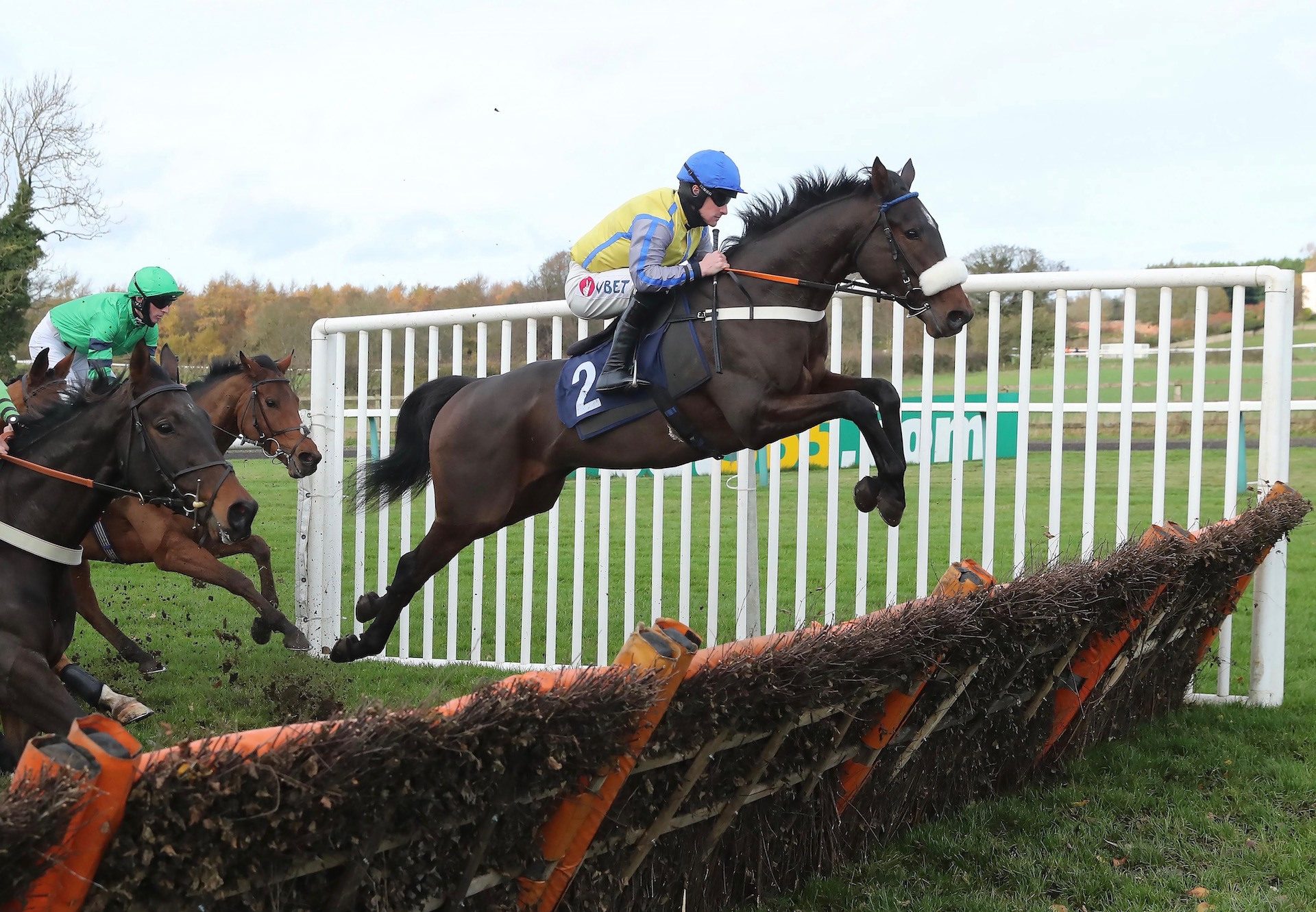 Heartbreak Kid (Getaway) Wins The Novice Hurdle At Sedgefield