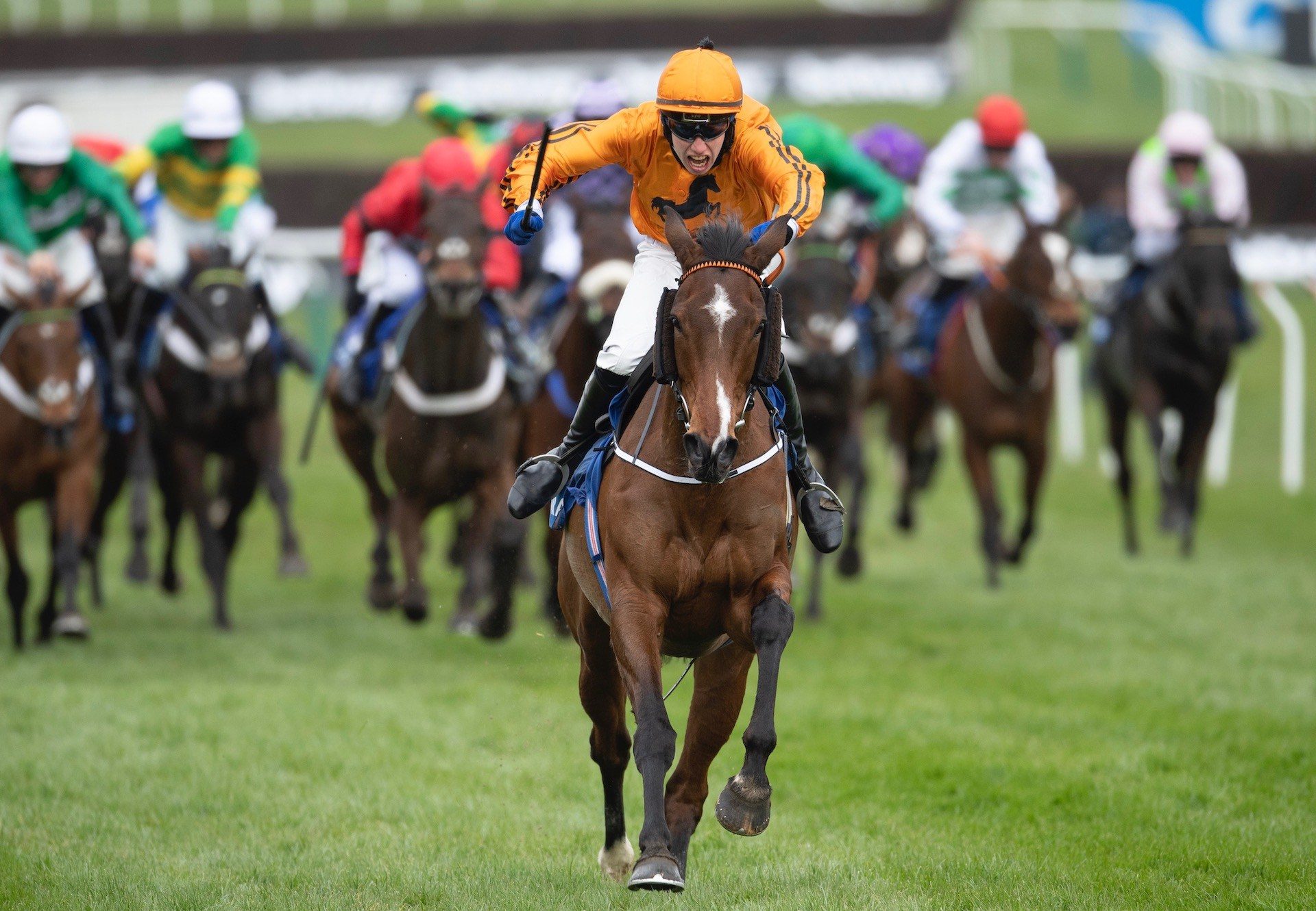 Heaven Help Us (Yeats) Wins The Coral Cup At Cheltenham