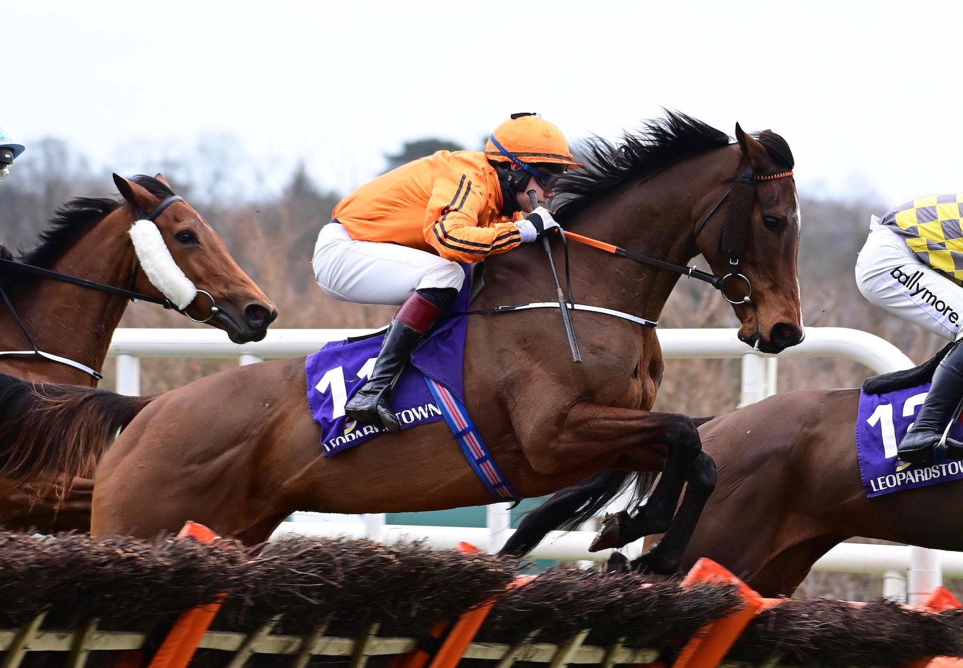 Heaven Help Us (Yeats) Wins The Grade B Paddy Mullins Mares Handicap Hurdle at Leopardstown