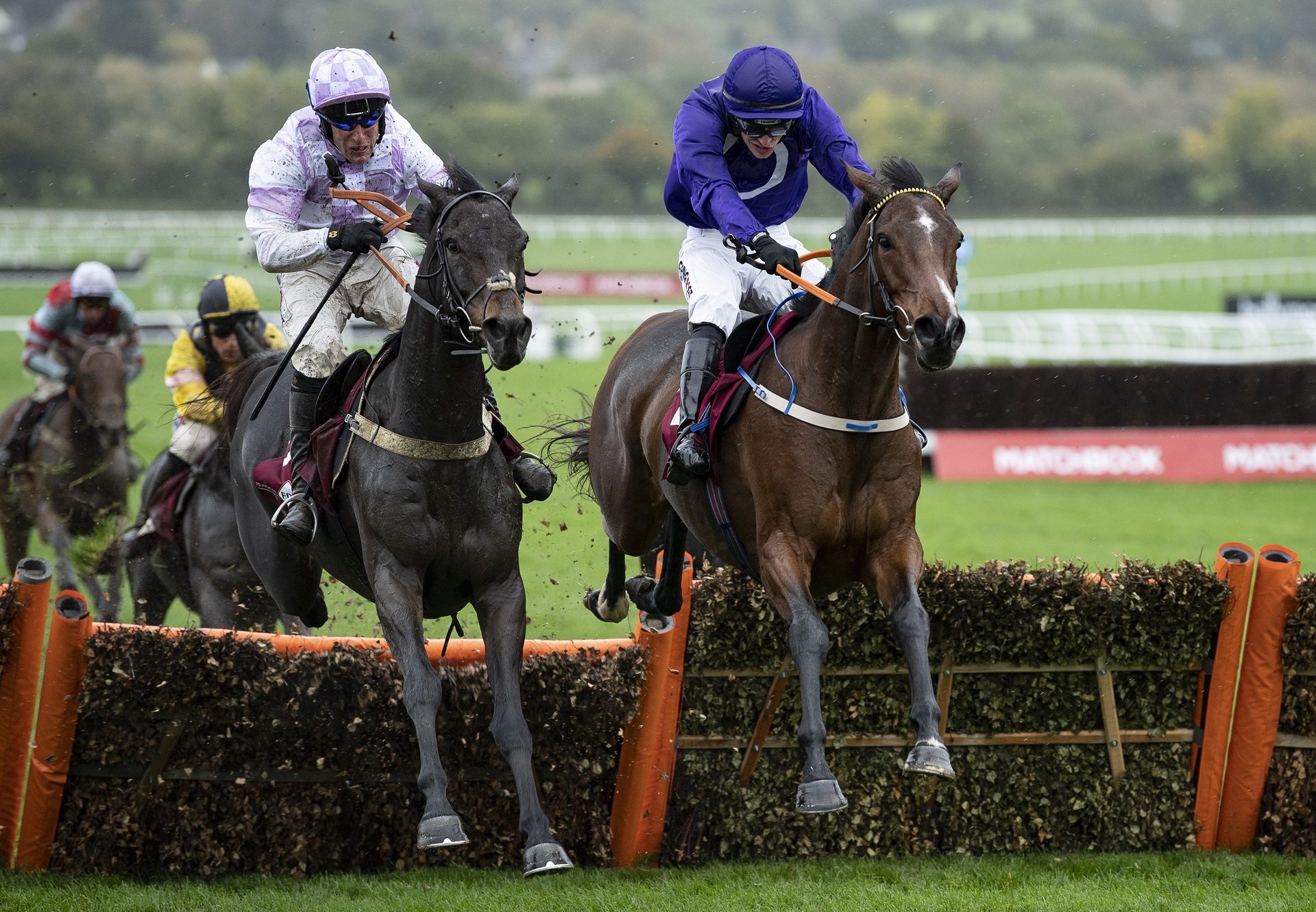 Heaven Help Us (Yeats) winning a maiden hurdle at Cheltenham