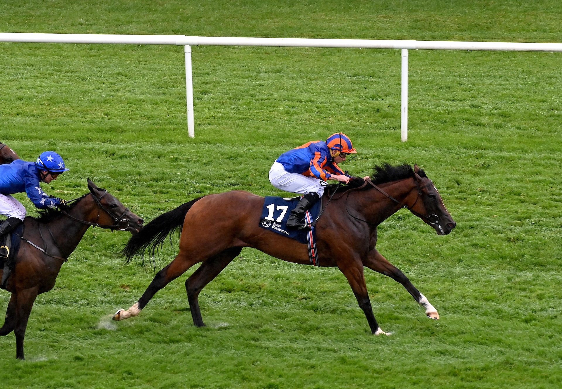 Heavens Gate (Churchill) Wins The Ballyhane Stakes At Naas