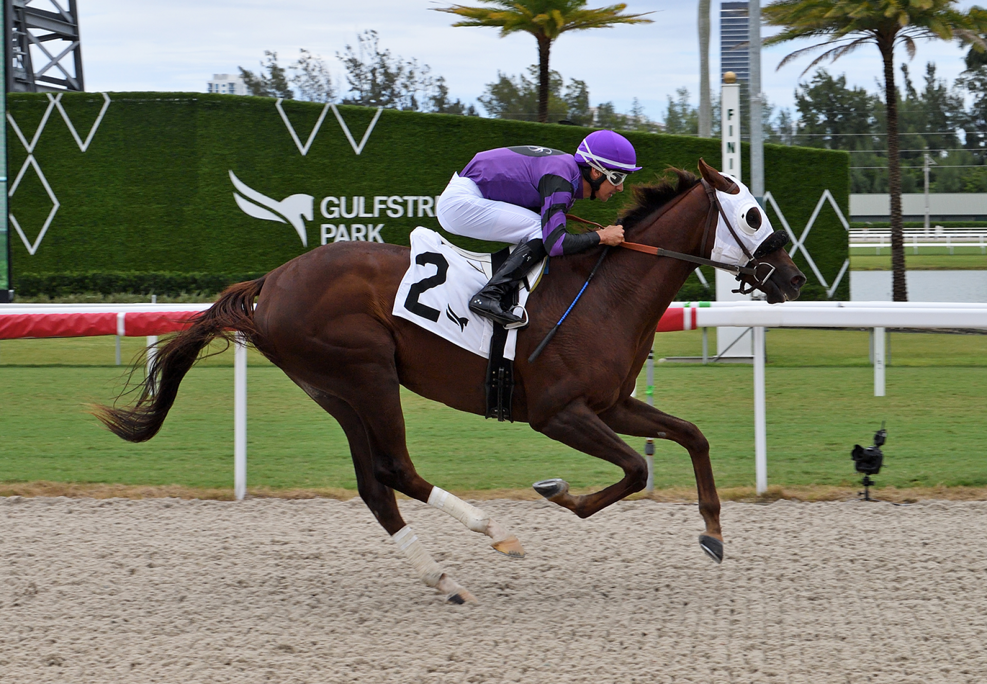 Hello Hello Hello Echo Town Wins Gulfstream Aoc