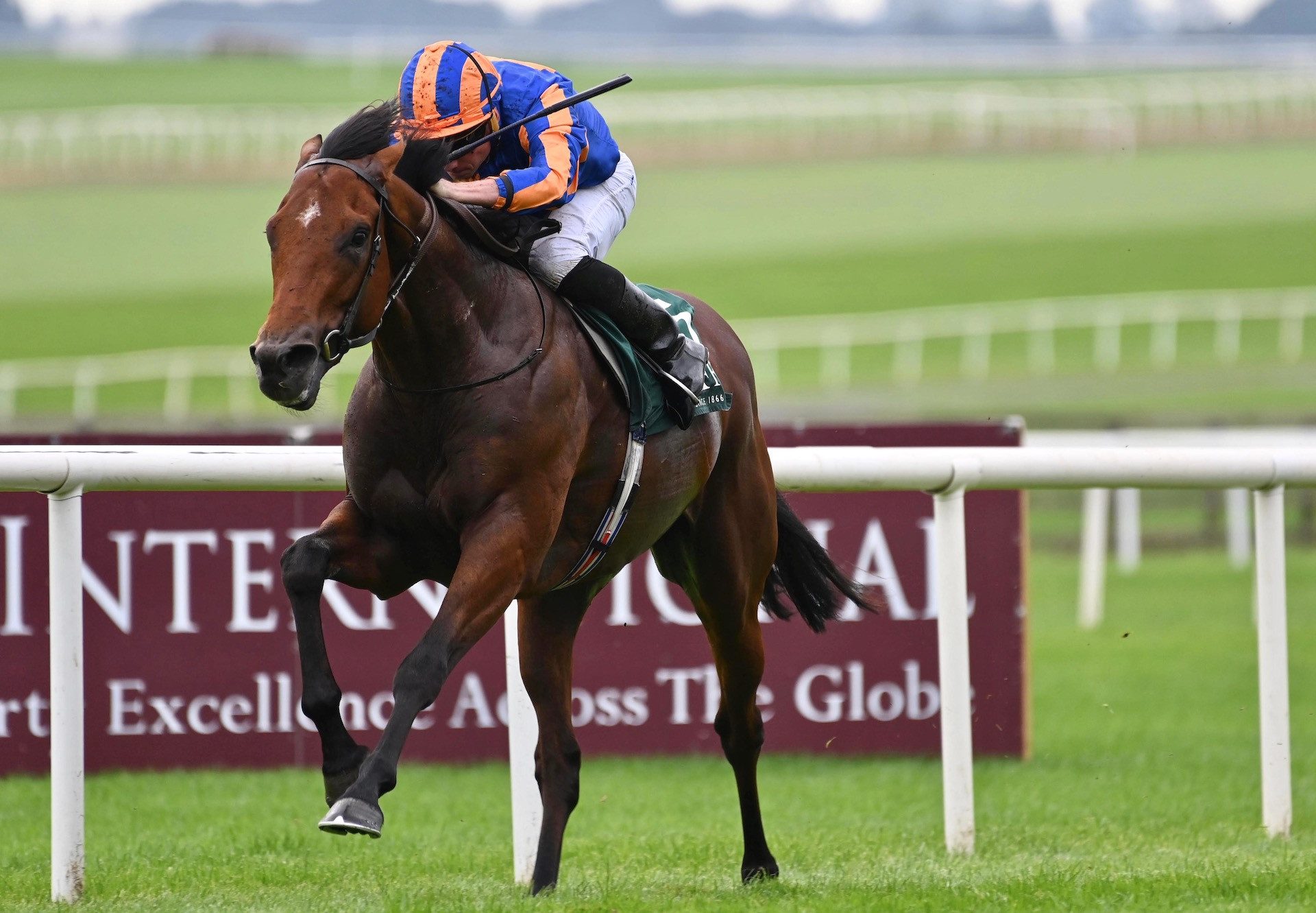 Henry Longfellow Wins The Group 1 National Stakes at the Curragh