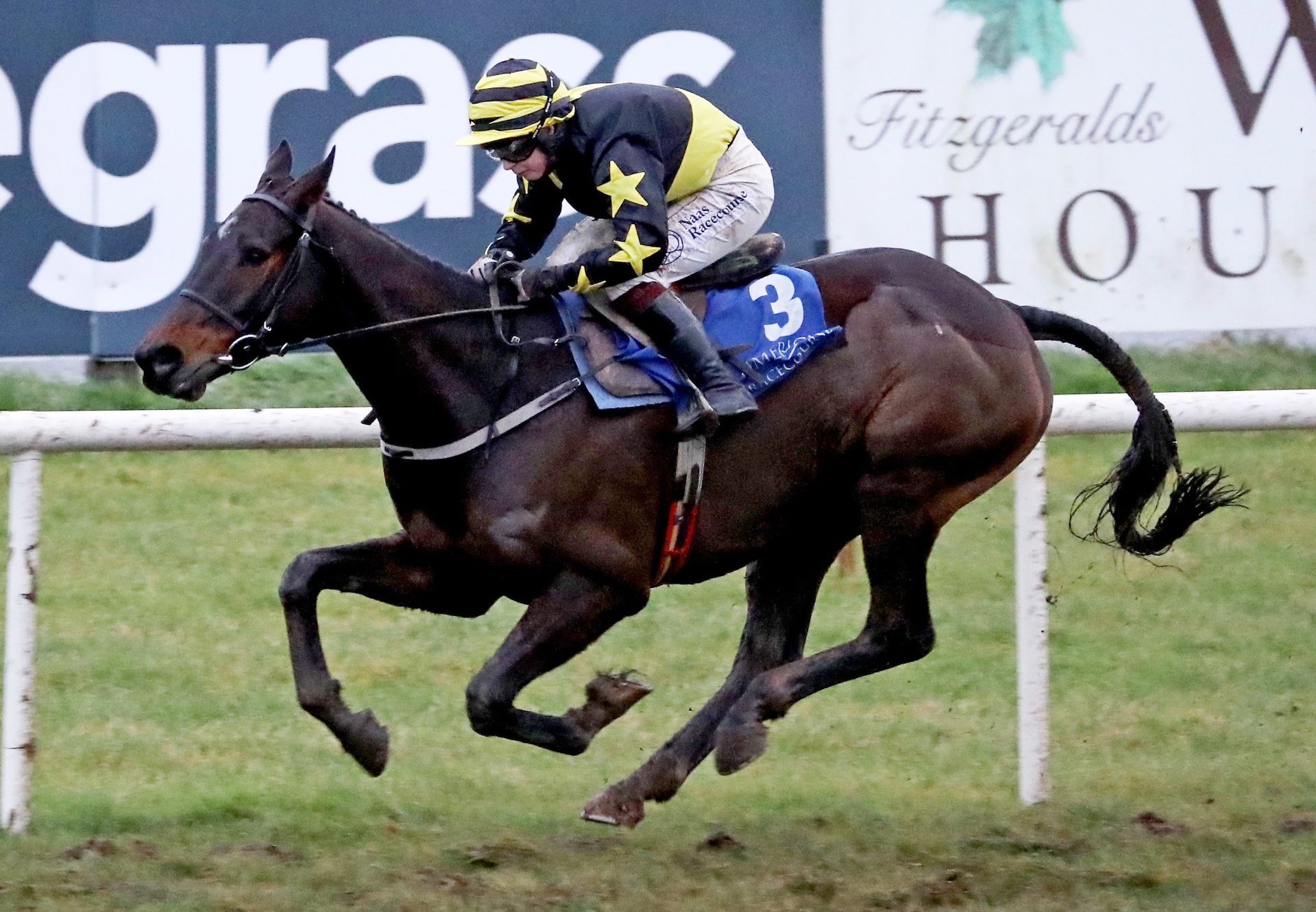 Hens Tooth (Getaway) Wins The Bumper At Limerick