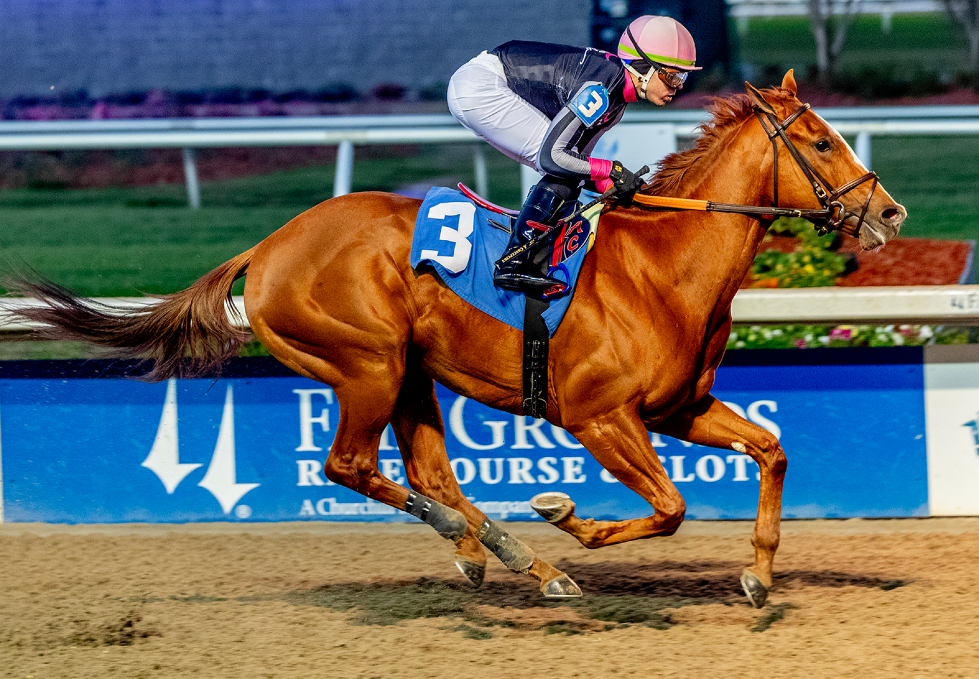 Her Laugh Practical Joke Wins Untapable S