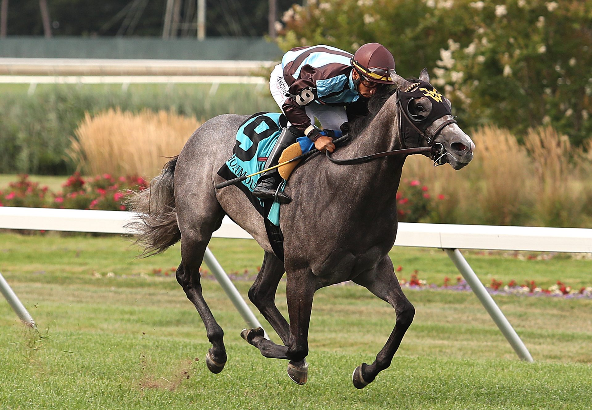 Her World (Caravaggio) Wins Tyro Stakes at Monmouth Park