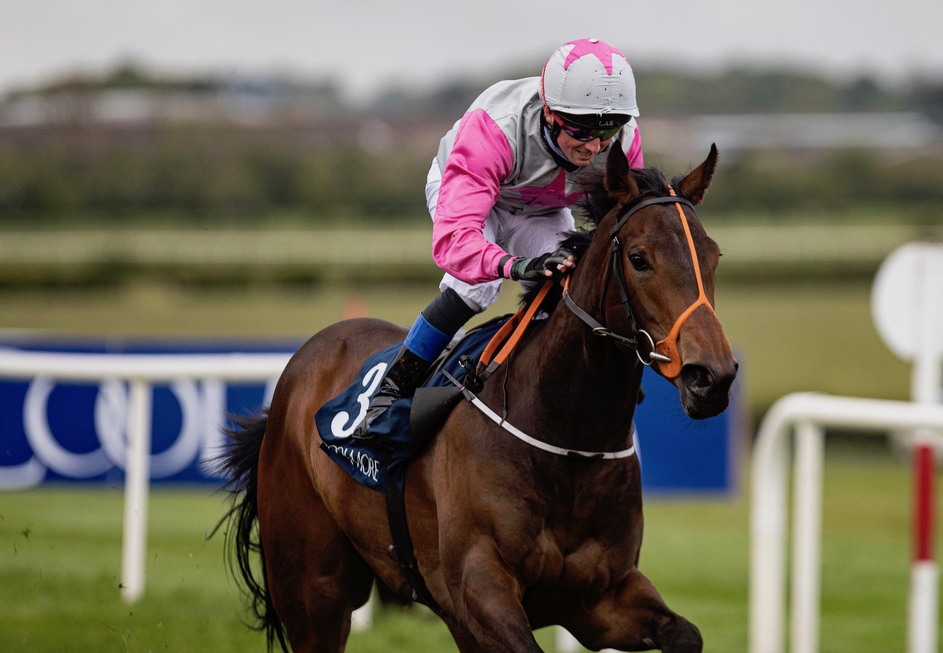 Hermana Estrella (Starspangledbanner) Wins The Group 3 Coolmore Stud Irish Ebf Fillies Sprint Stakes at Naas