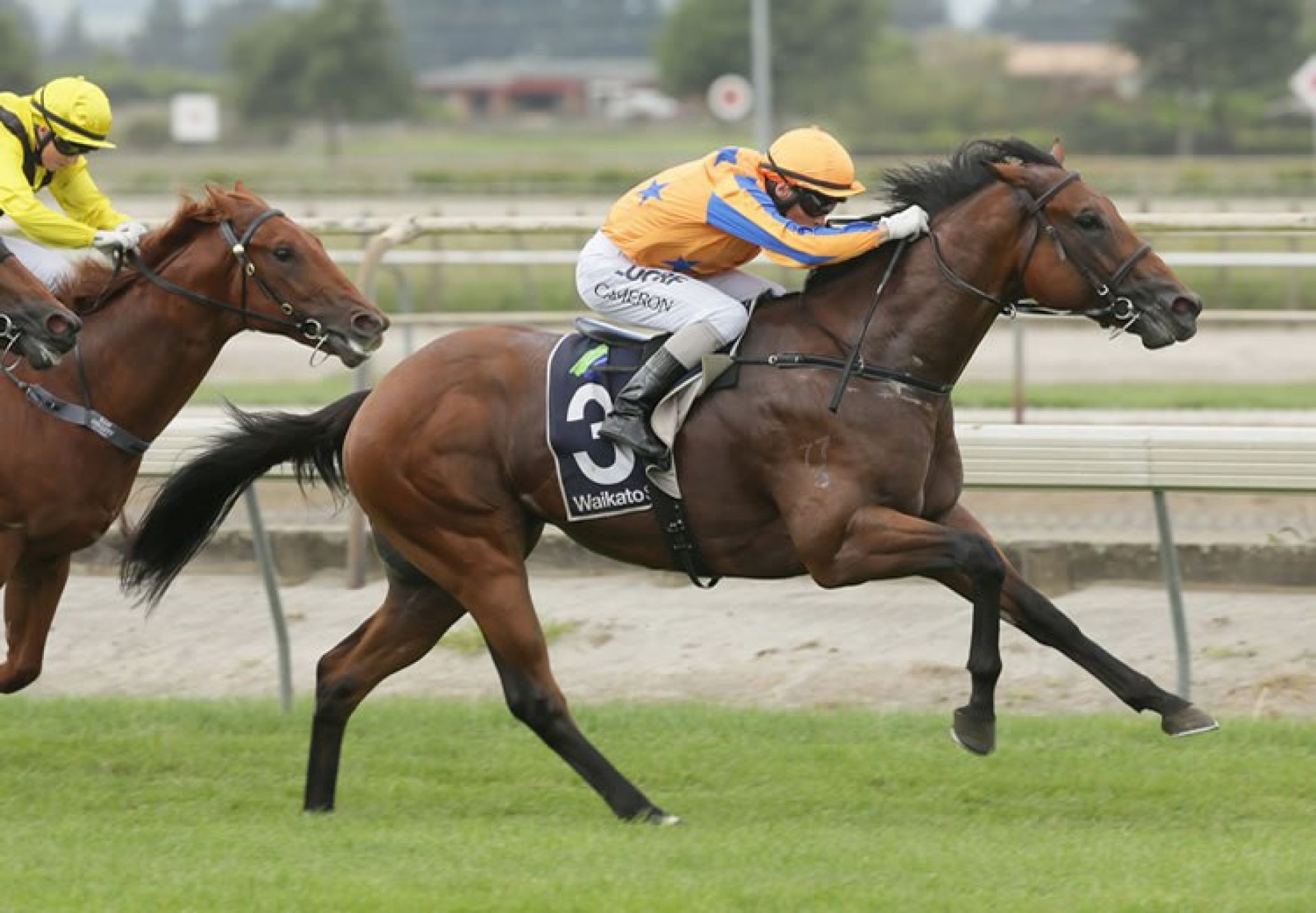 Heroic Valour (Fastnet Rock) winning the G1 Diamond Stakes at Ellerslie