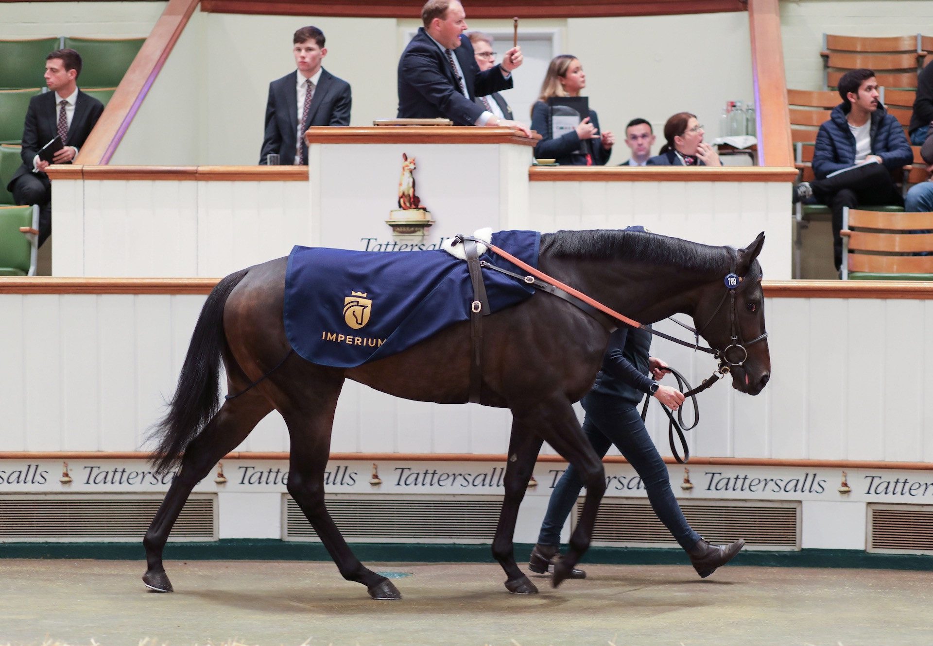 He's A Monster (No Nay Never) Sells For 450000gns at the Tattersalls HIT