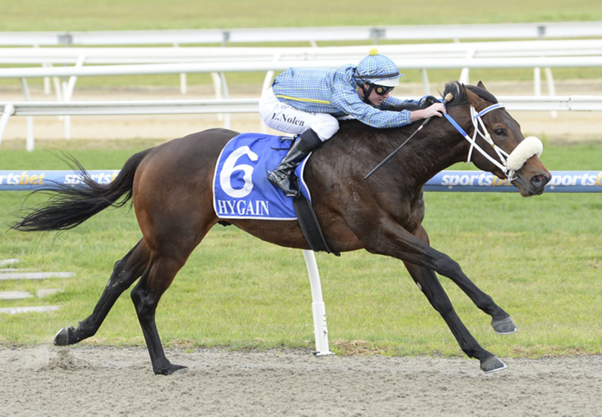 Hes The Ultimate (Fastnet Rock) winning at Pakenham