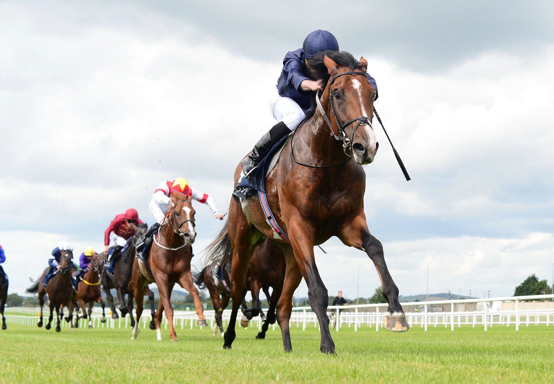 Hiawatha (Camelot) Wins His Maiden At The Curragh