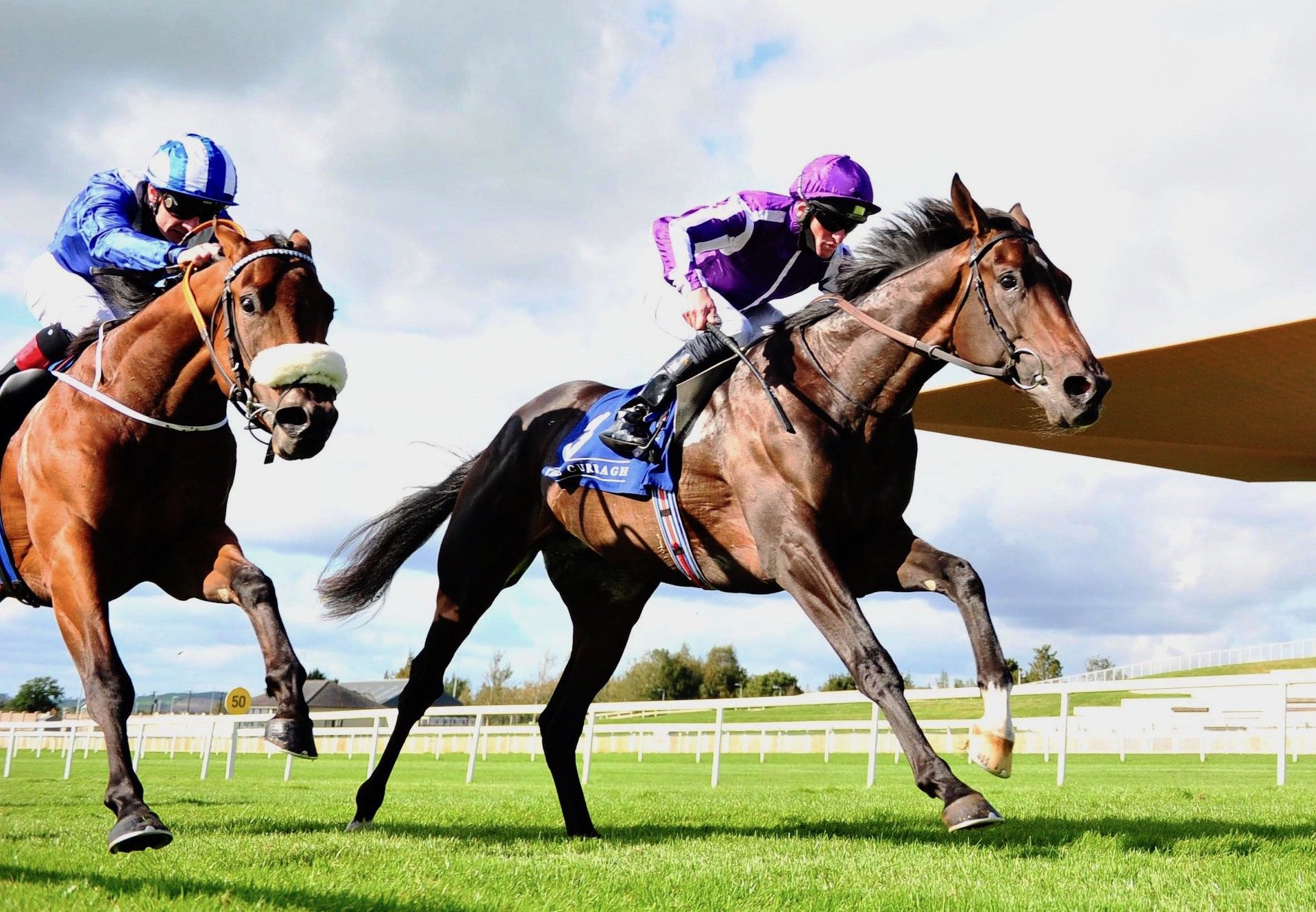 High Definition (Galileo) Wins The Group 2 Beresford Stakes at the Curragh