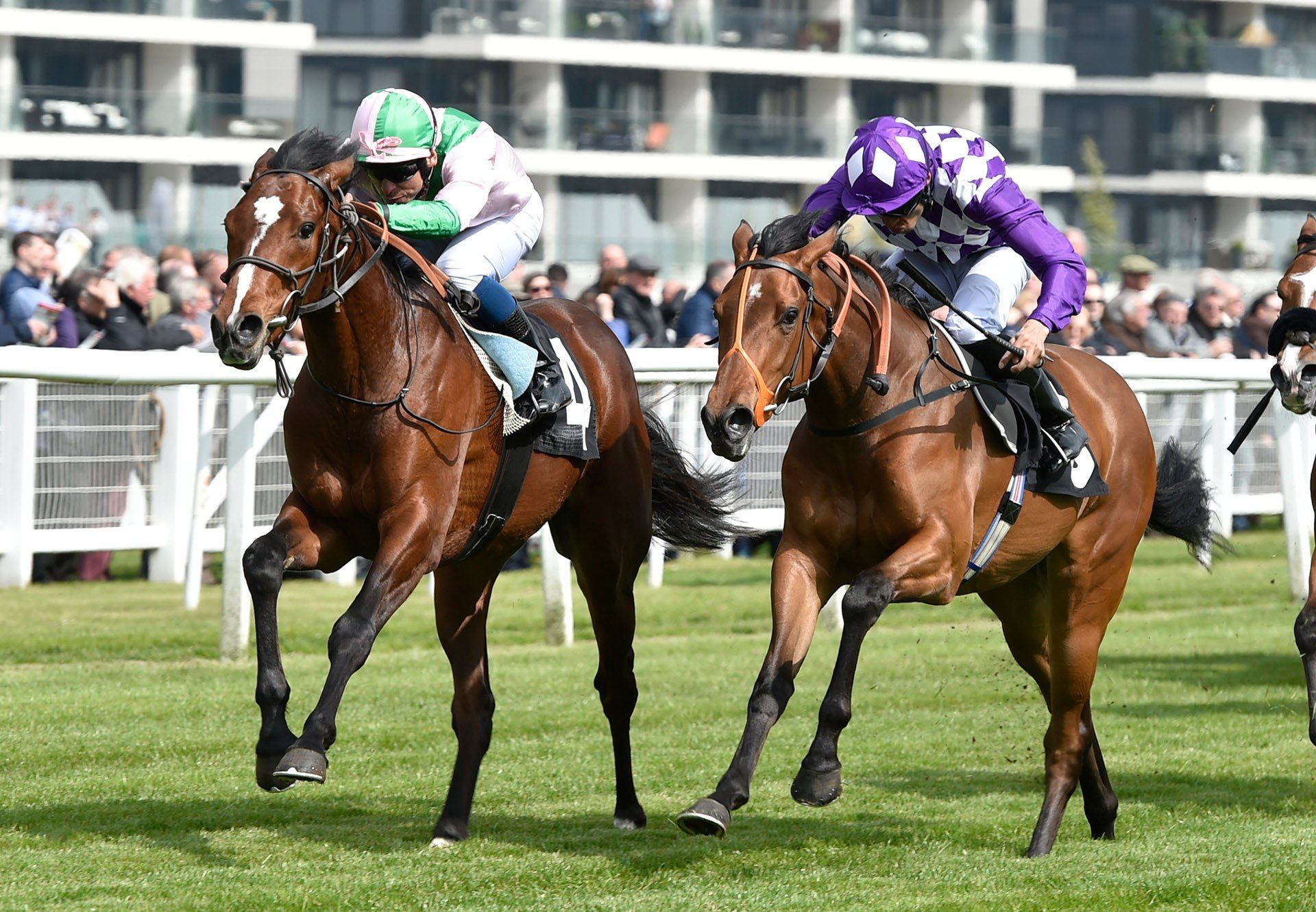 Highland Chief (Gleneagles) winning at Newbury