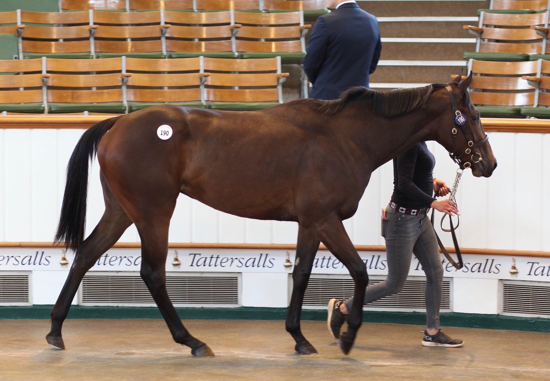 Highland Reel Filly X Rock Kristal Sells For 125000Gns At The Tattersalls Guineas Breeze Up Sale 1