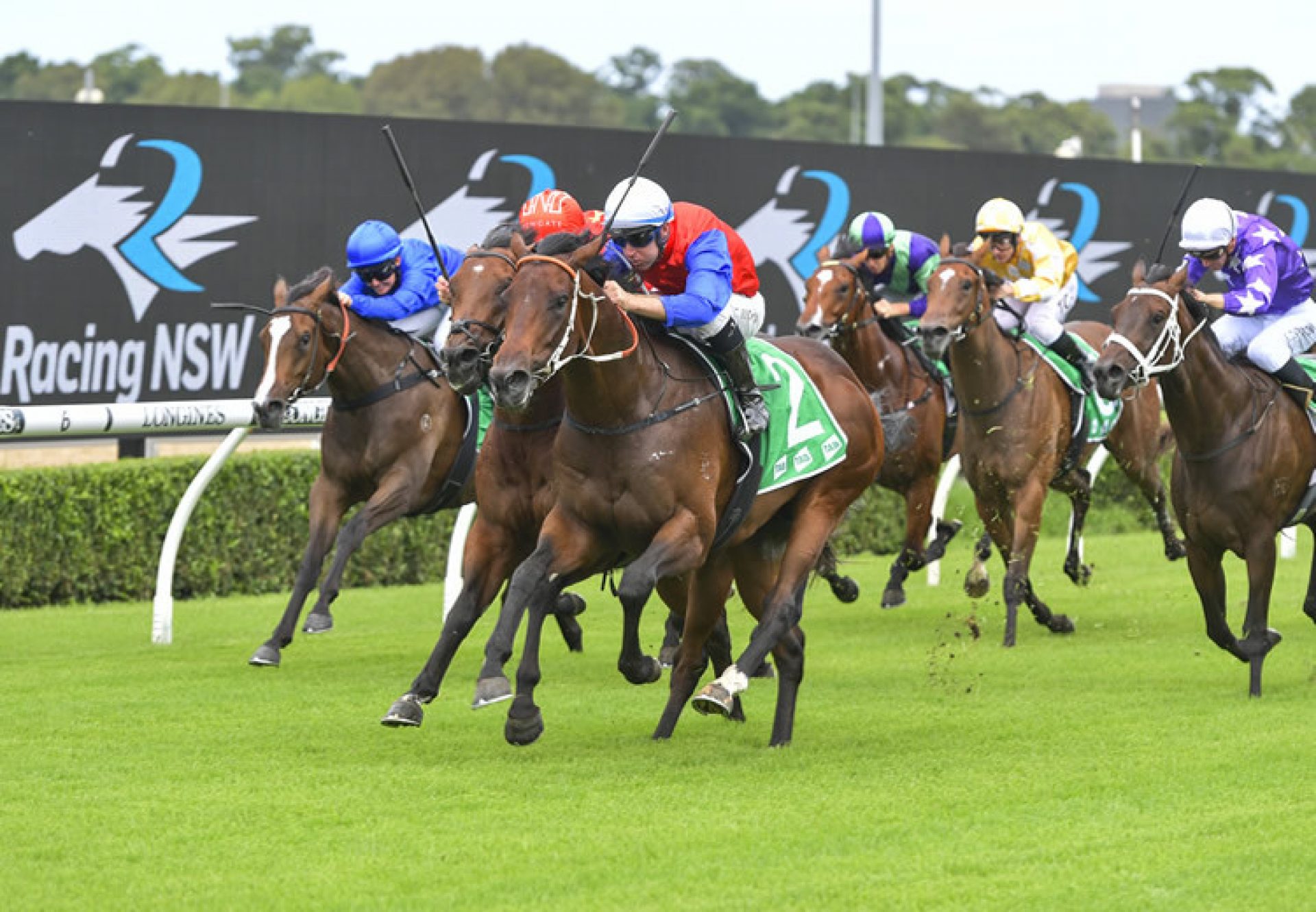 Hilal (Fastnet Rock) winning at Randwick