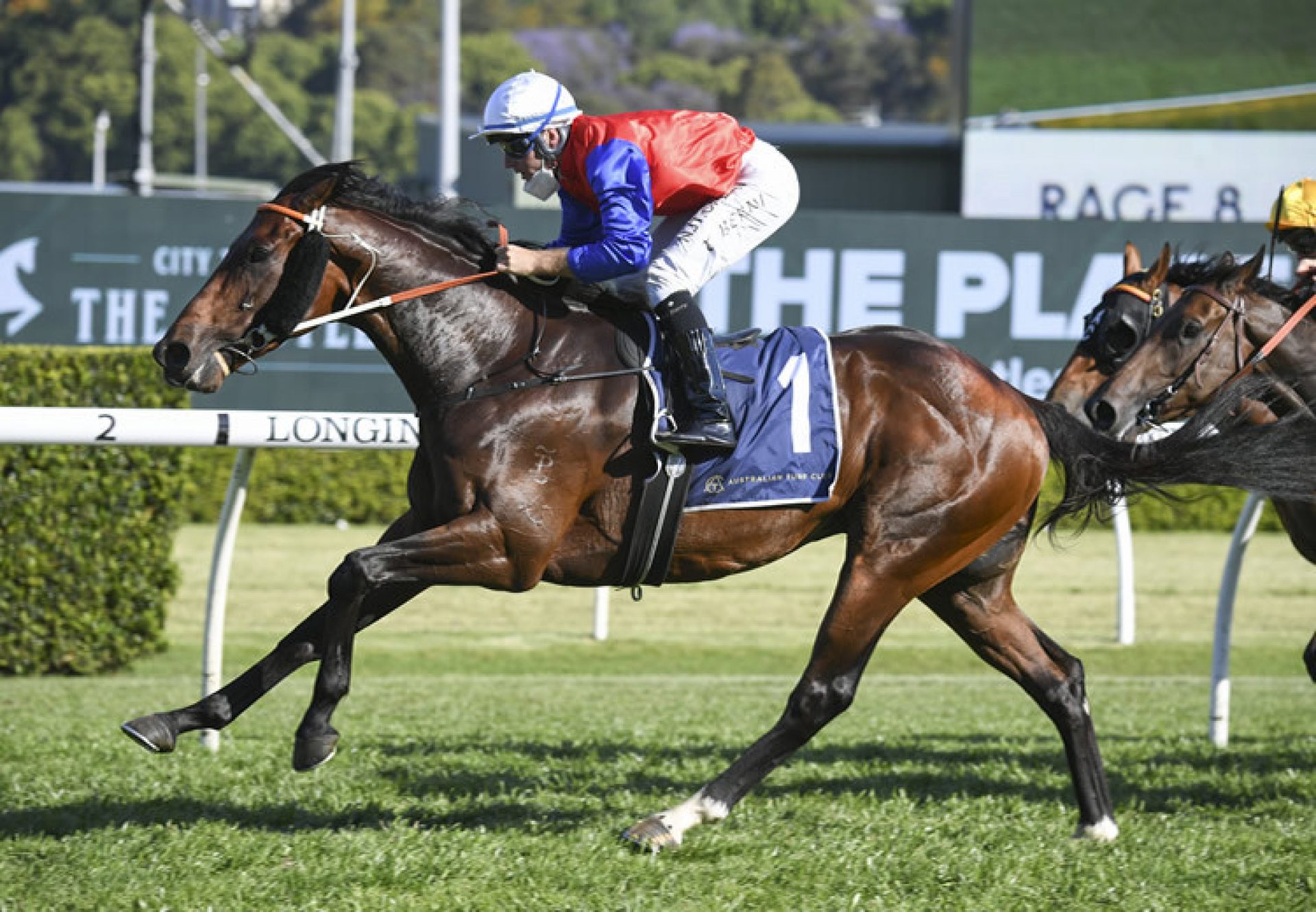 Hilal (Fastnet Rock) winning the Bondi Stajes at Randwick