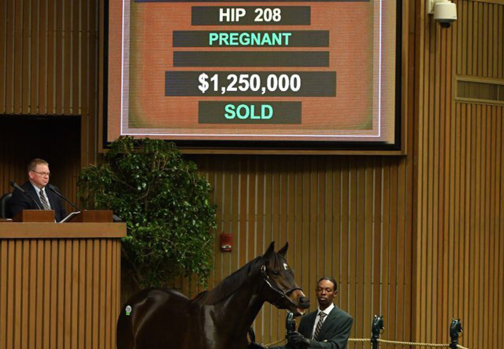 Hip 208 Conquest Galileo If Justify Kee Novcover