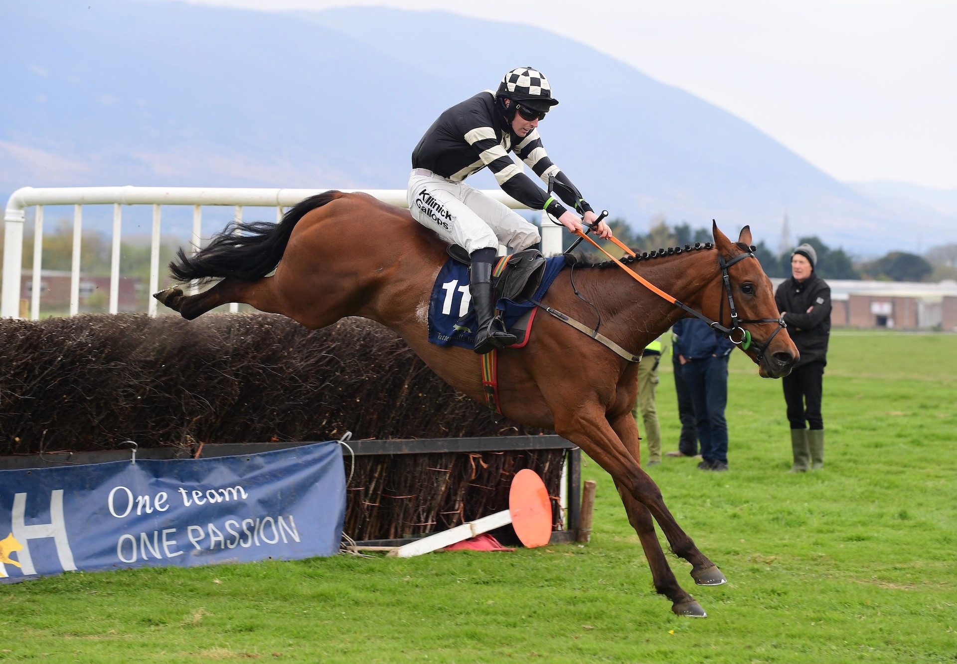 Histrionic (Walk In The Park) Wins The 4YO Maiden at Tralee