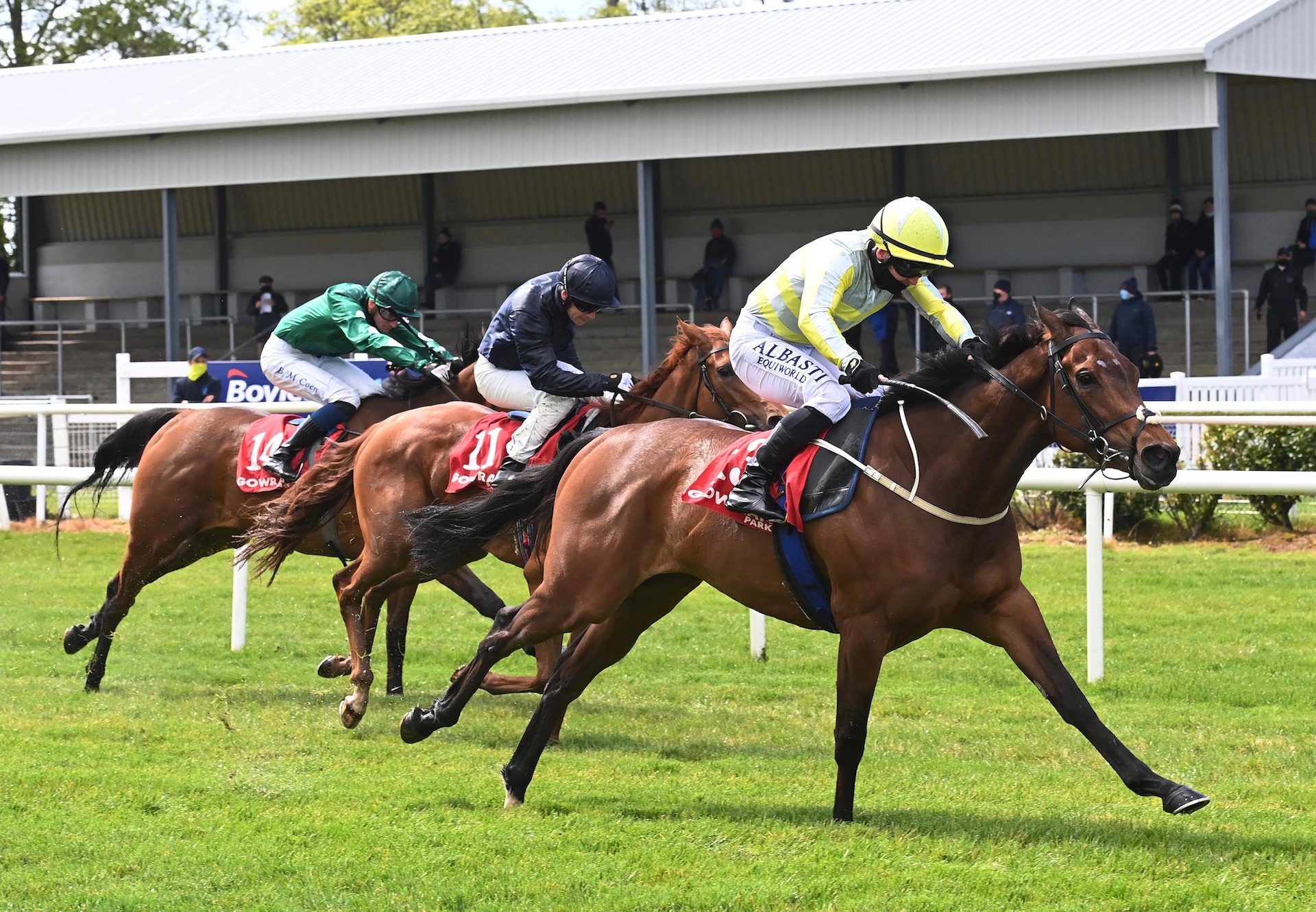 Holly Golightly (Gleneagles) Wins Her Maiden At Gowran Park