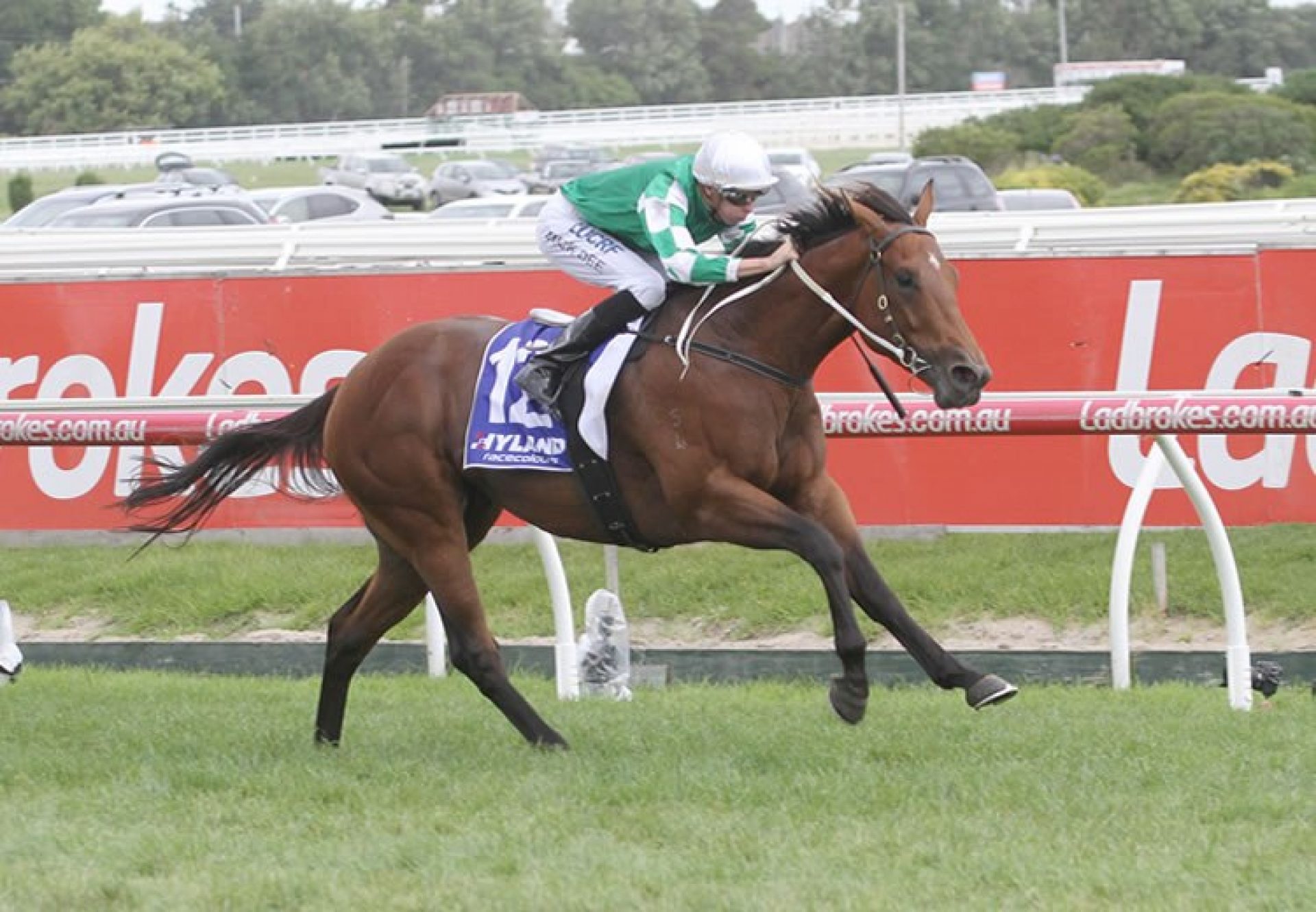 Holy Snow (Fastnet Rock) winning the G3 Autumn Stakes at Caulfield