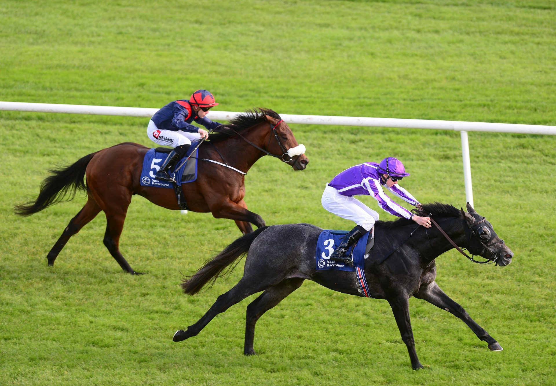 Hong Kong (American Pharoah) winning his maiden at Naas