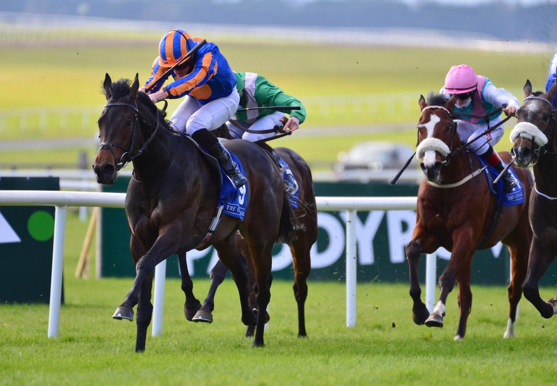 Horoscope (No Nay Never) Wins His Maiden At The Curragh