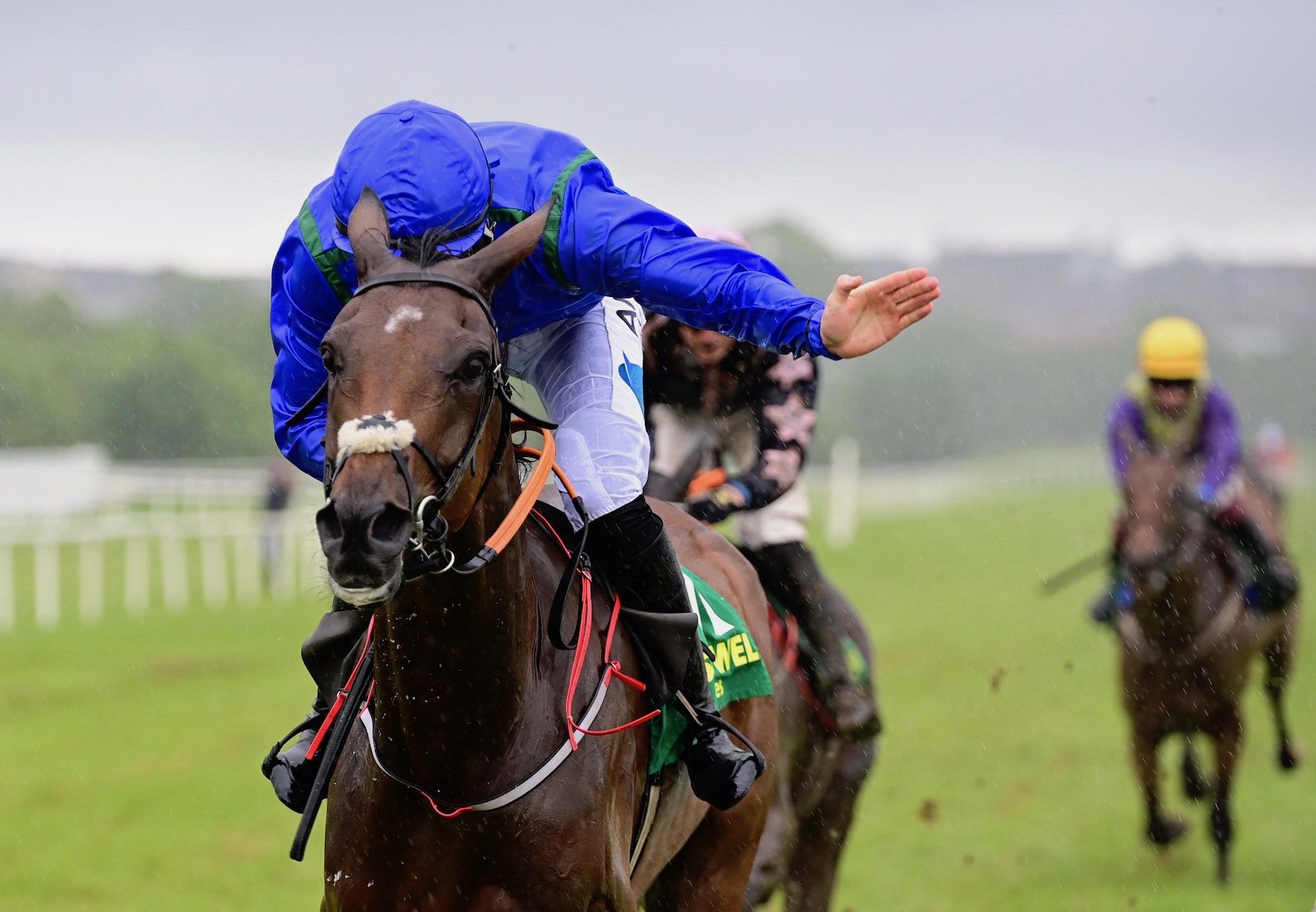 Hot As Pepper (Milan) wins The Bumper At Listowel