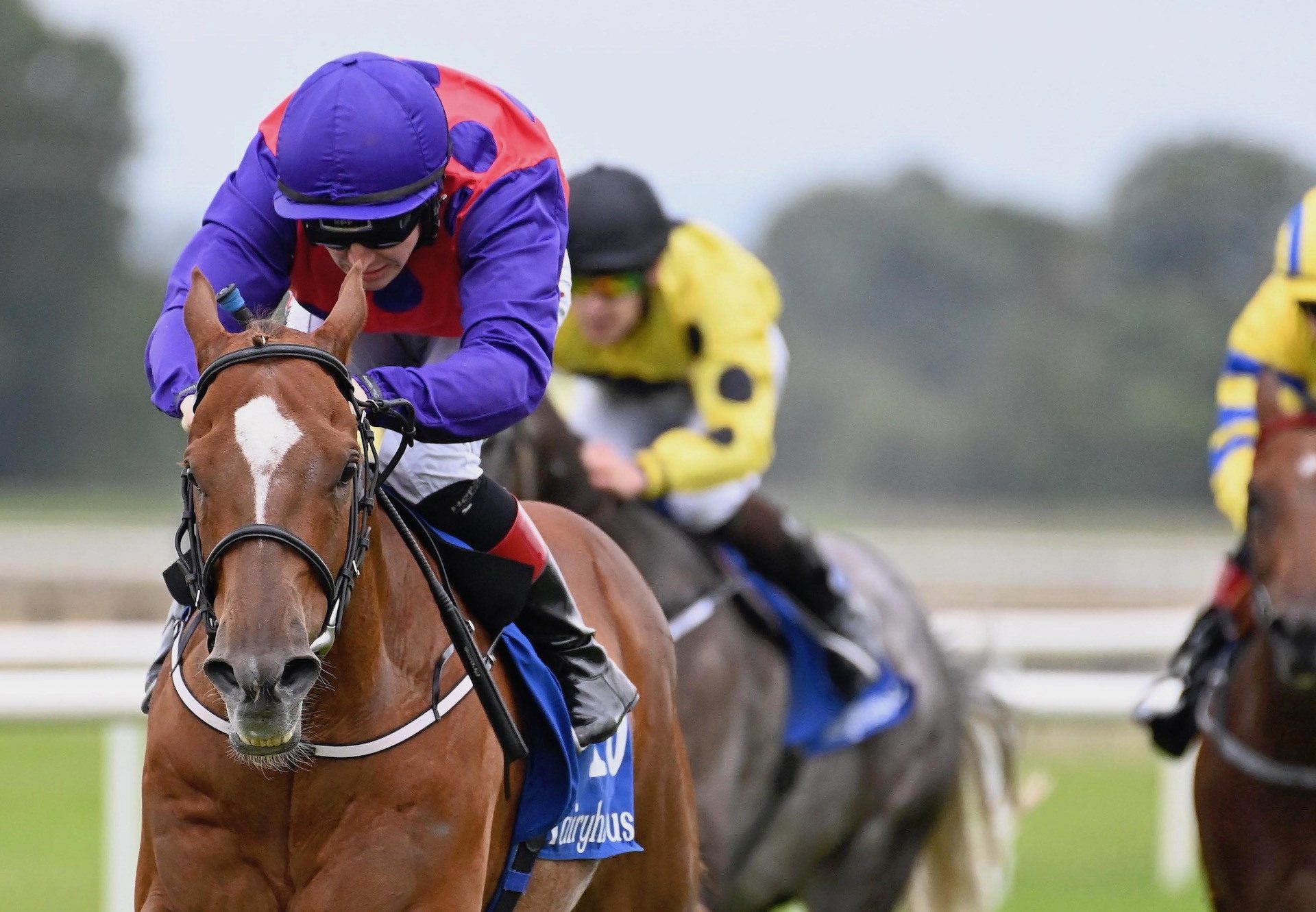 Hotrocket (Starspangledbanner) Wins His Maiden At Fairyhouse