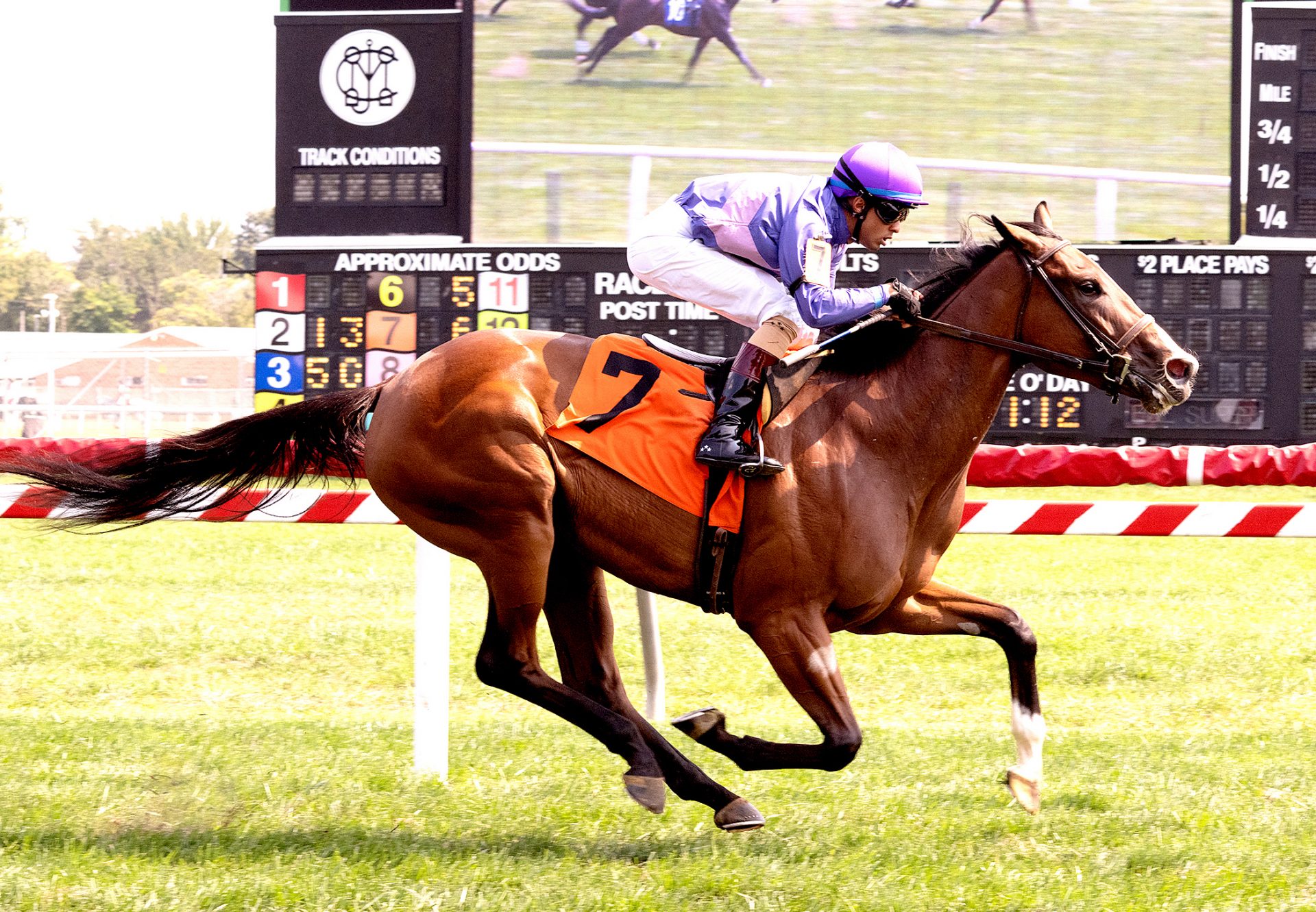 How Lovely (Justify) Wins Pimlico MSW