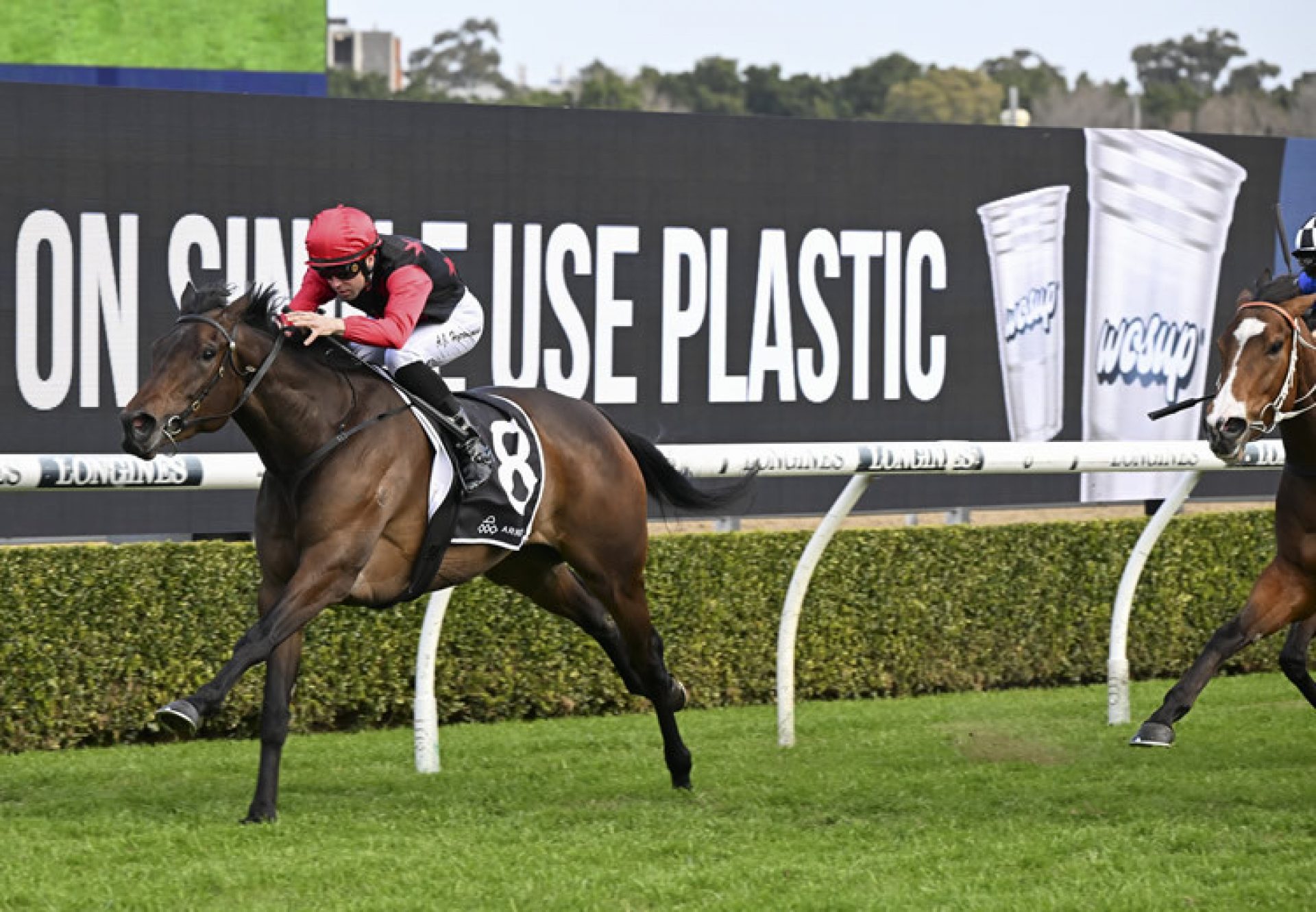 Howgoodareyou (So You Think) winning at Randwick