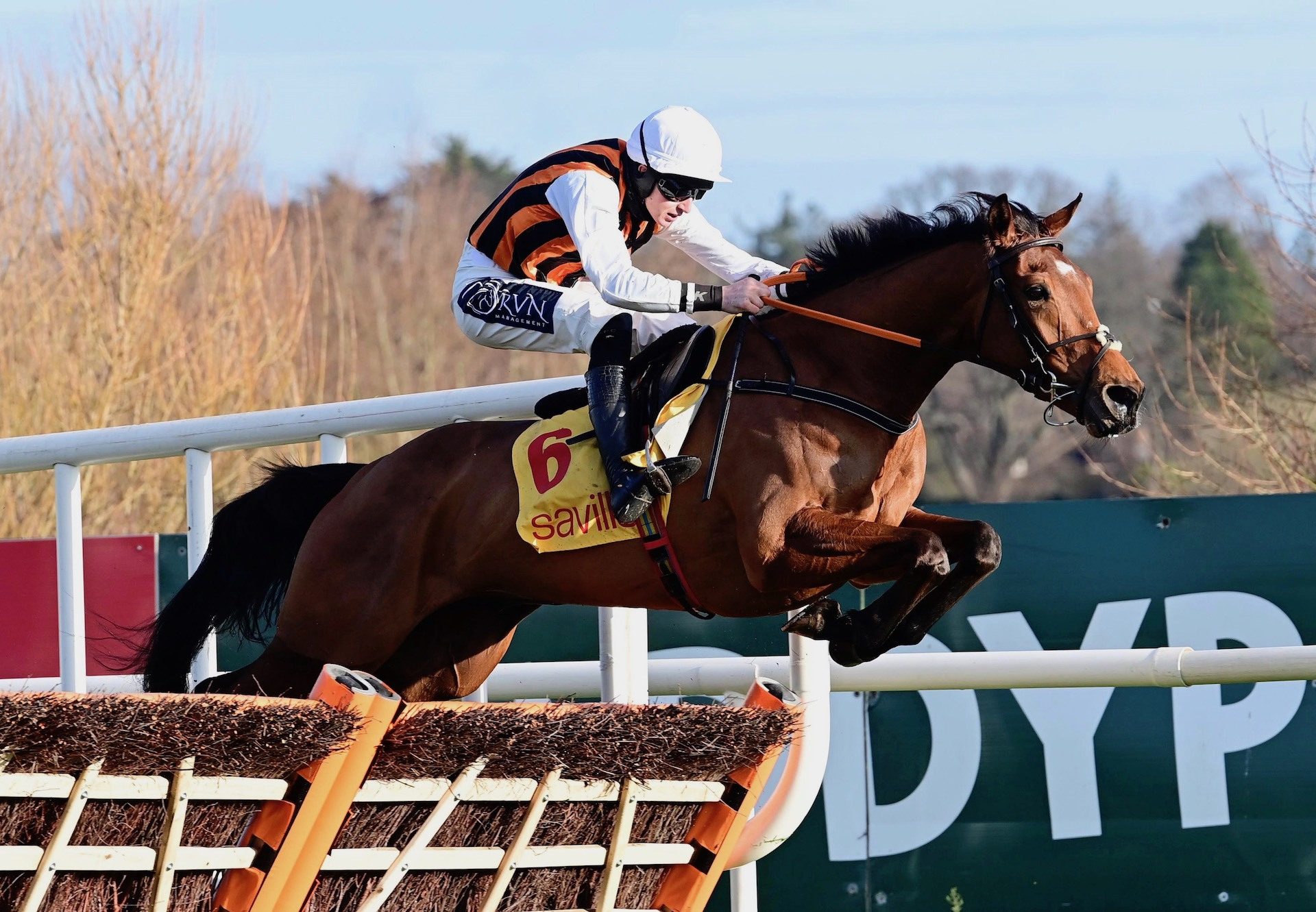 Howyabud (Milan) Wins His Maiden Hurdle At Leopardstown