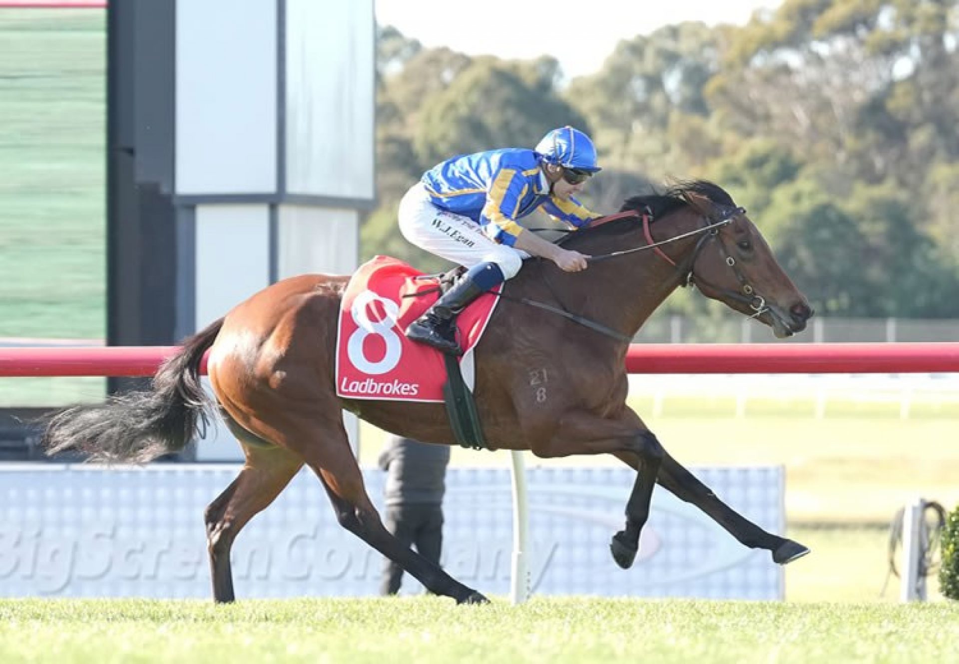 Hypothetical (Pride Of Dubai) winning at Sandown