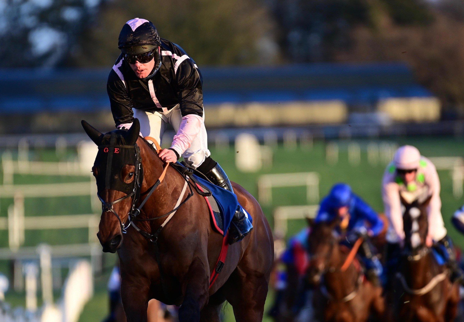 I Am Fortunata (Getaway) Makes A Winning Debut At Thurles