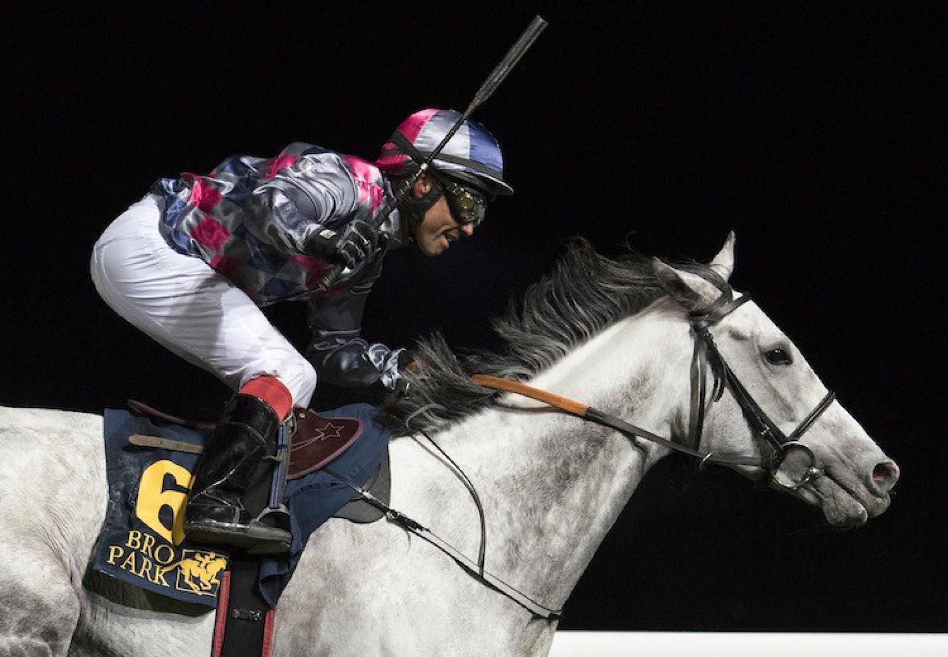 Icecapada (Mastercraftsman) winning the Listed Stockholm Fillies & Mares Stakes at Bro Park