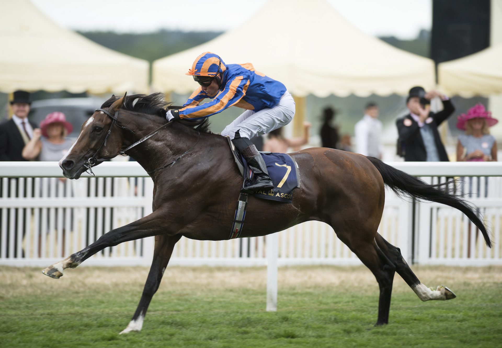 Idaho winning the Gr.2 Hardwicke Stakes at Ascot