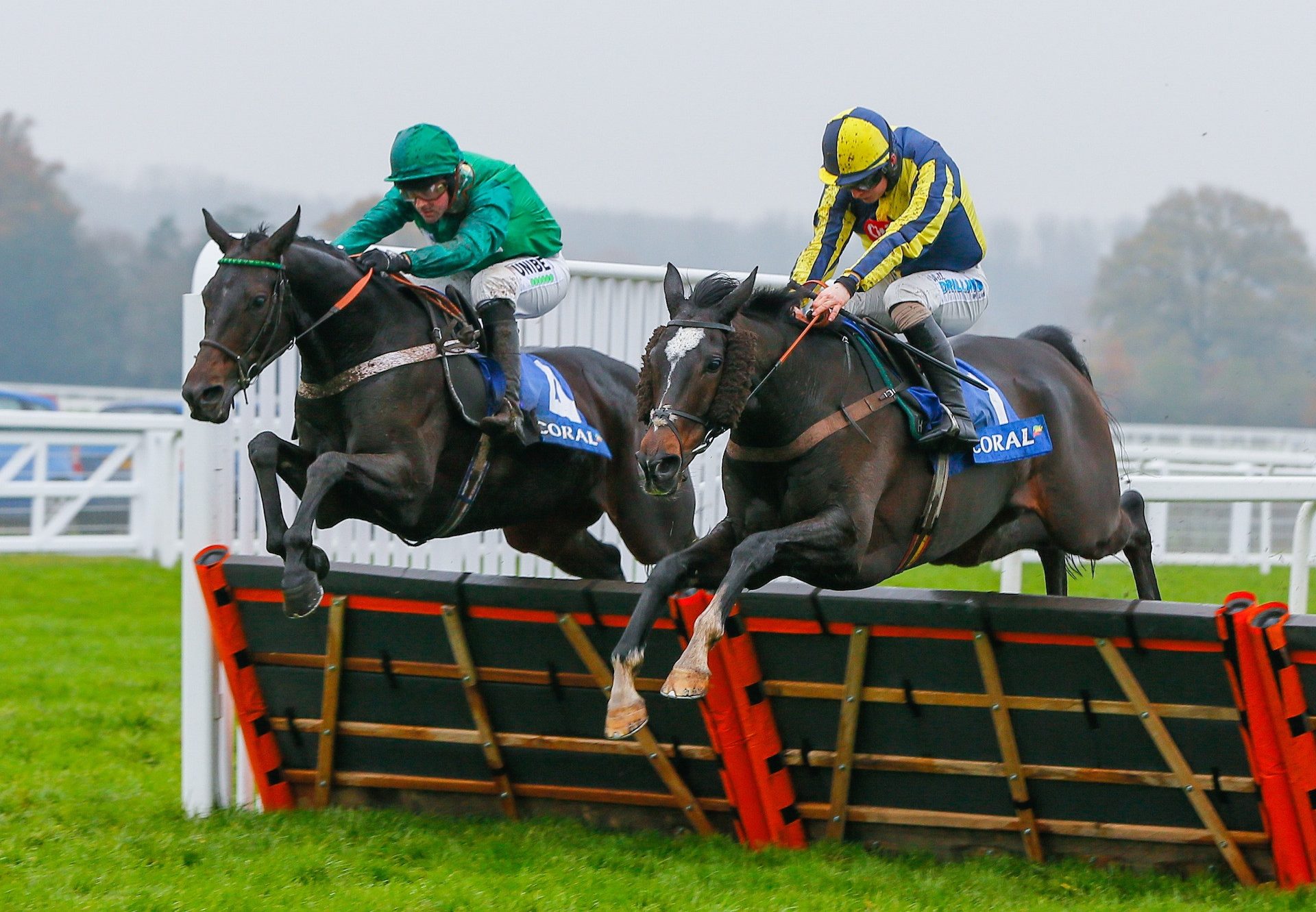 If The Cap Fits (Milan) Wins The Grade 2 Coral Hurdle at Ascot