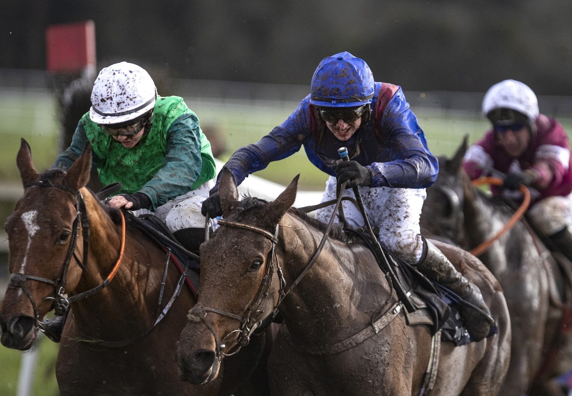 Ifyoucatchmenow Wins The Grand National Trial