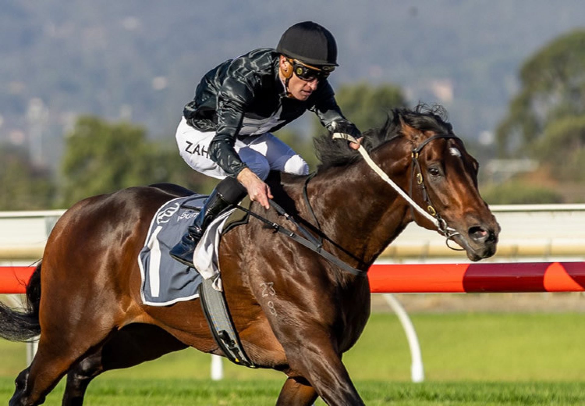 Illation (So You Think) winning the Listed SAJC Adelaide Guineas at Morphettville