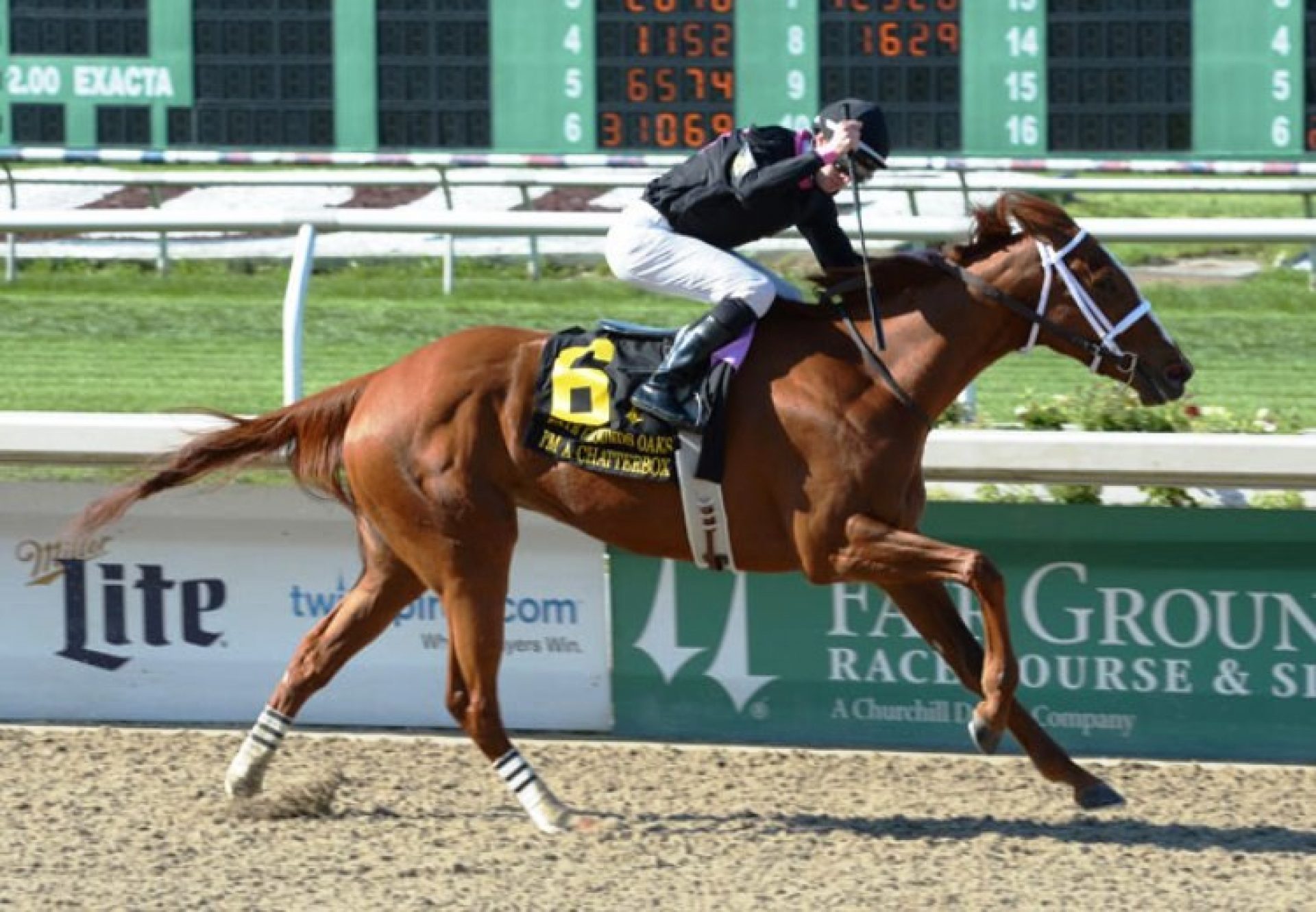 Im A Chatterbox (Munnings) winning the Fairgrounds Oaks