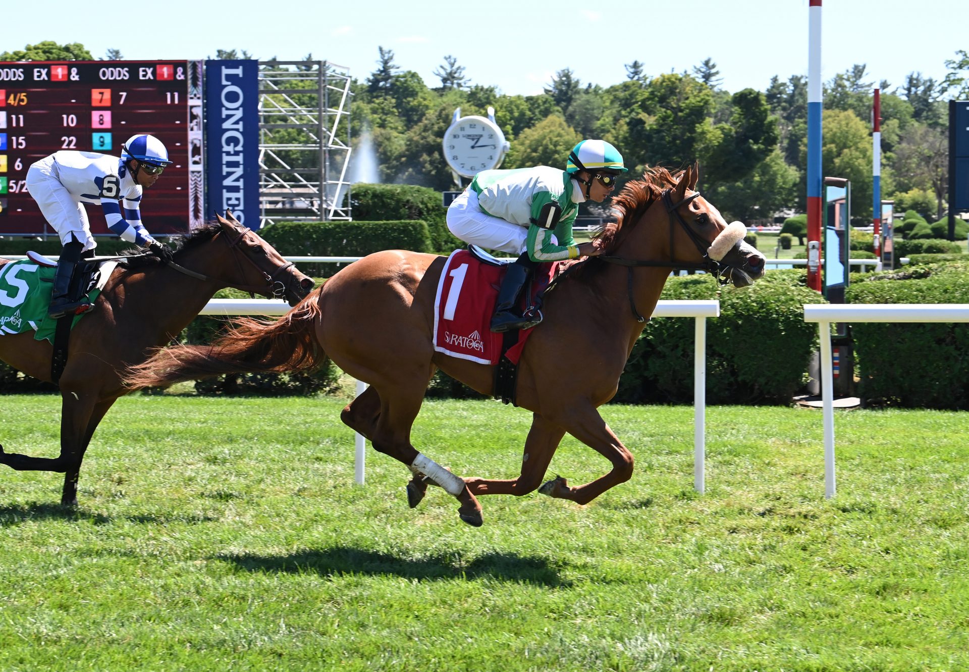 Im Just Kiddin (Justify) Wins Saratoga MSW