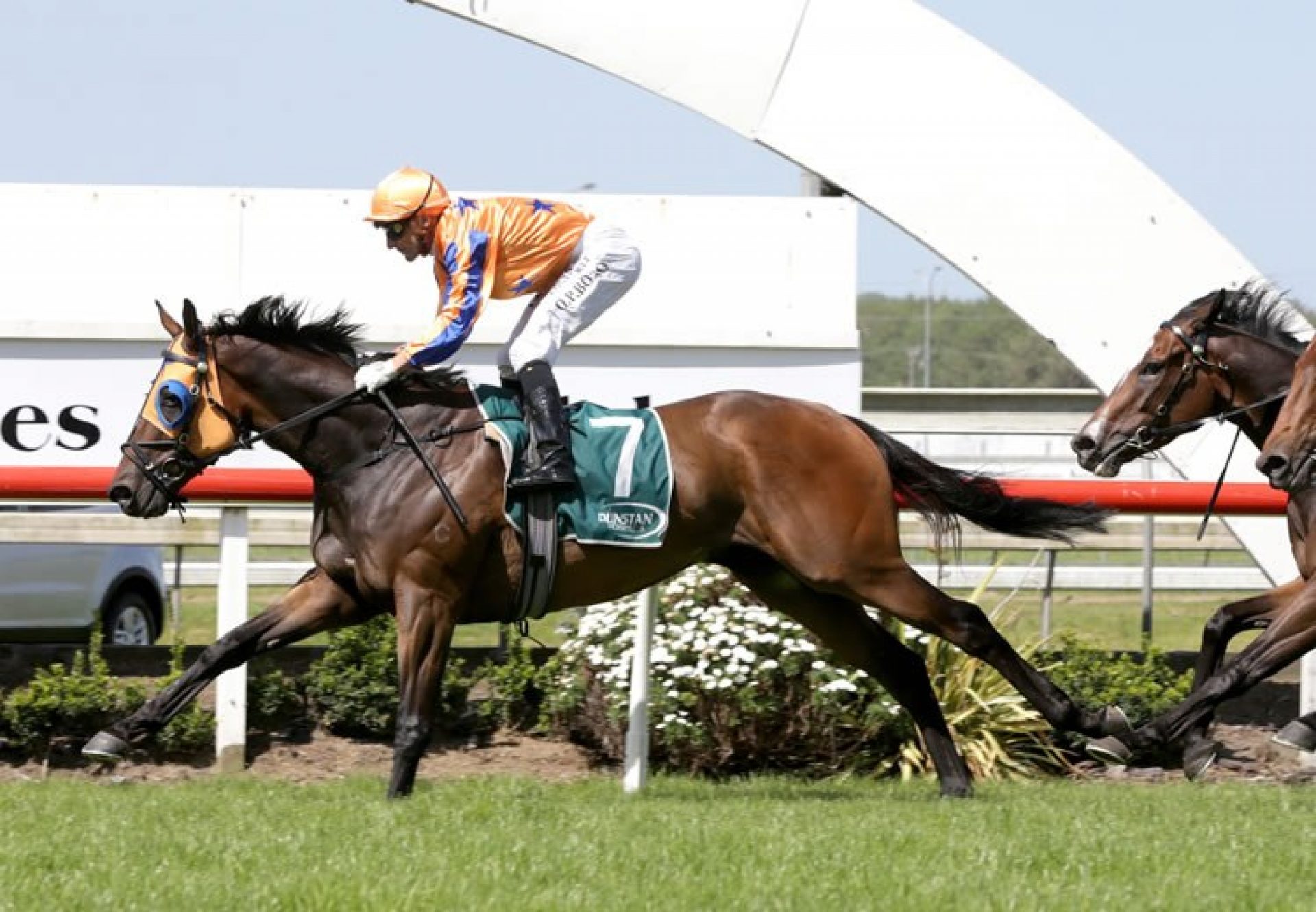 In A Twinkling (Fastnet Rock) winning the Gr.3 Ssangyong Counties Cup
