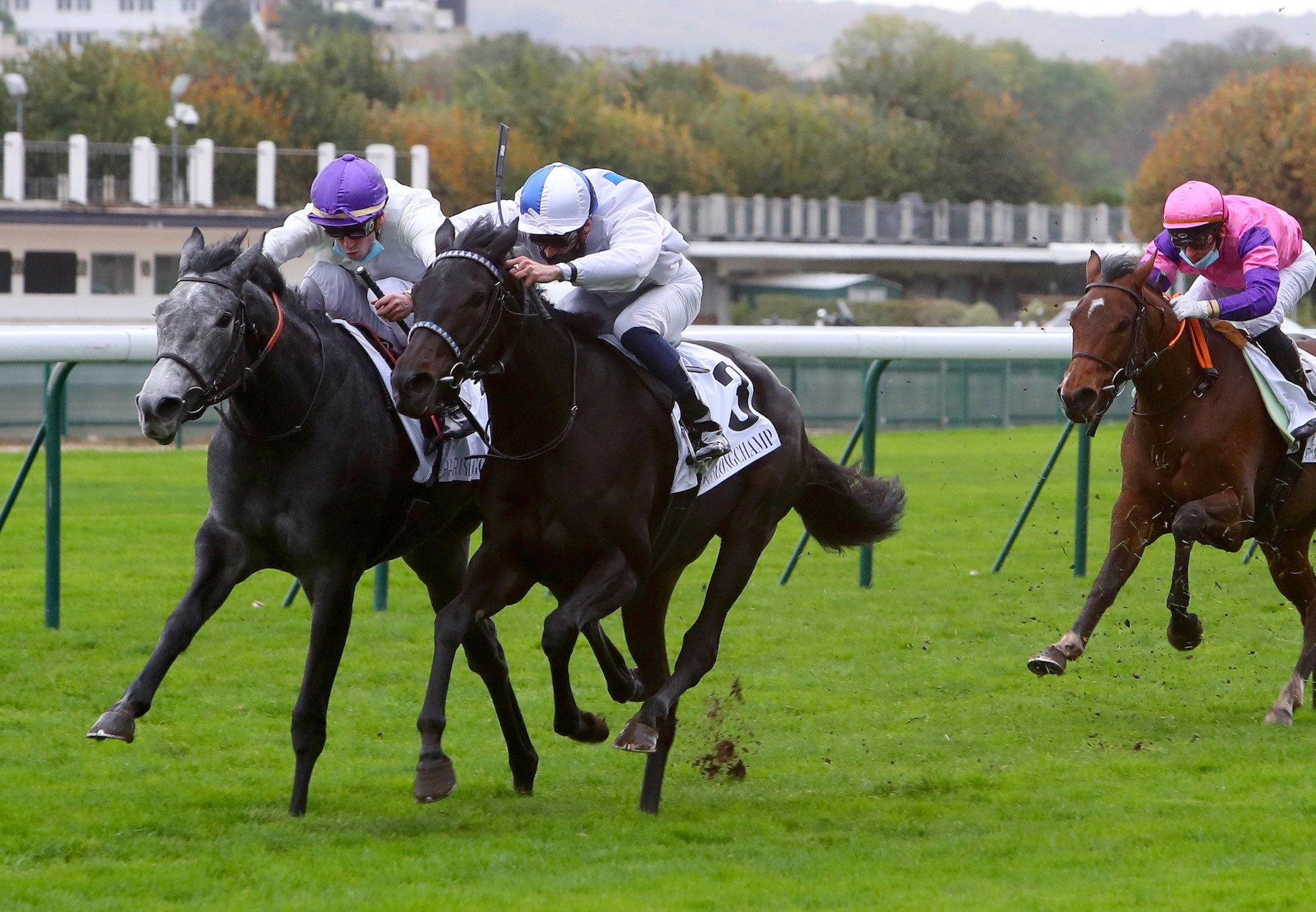 Incarville (Wootton Bassett) Wins The Prix De La Masseliere at Longchamp