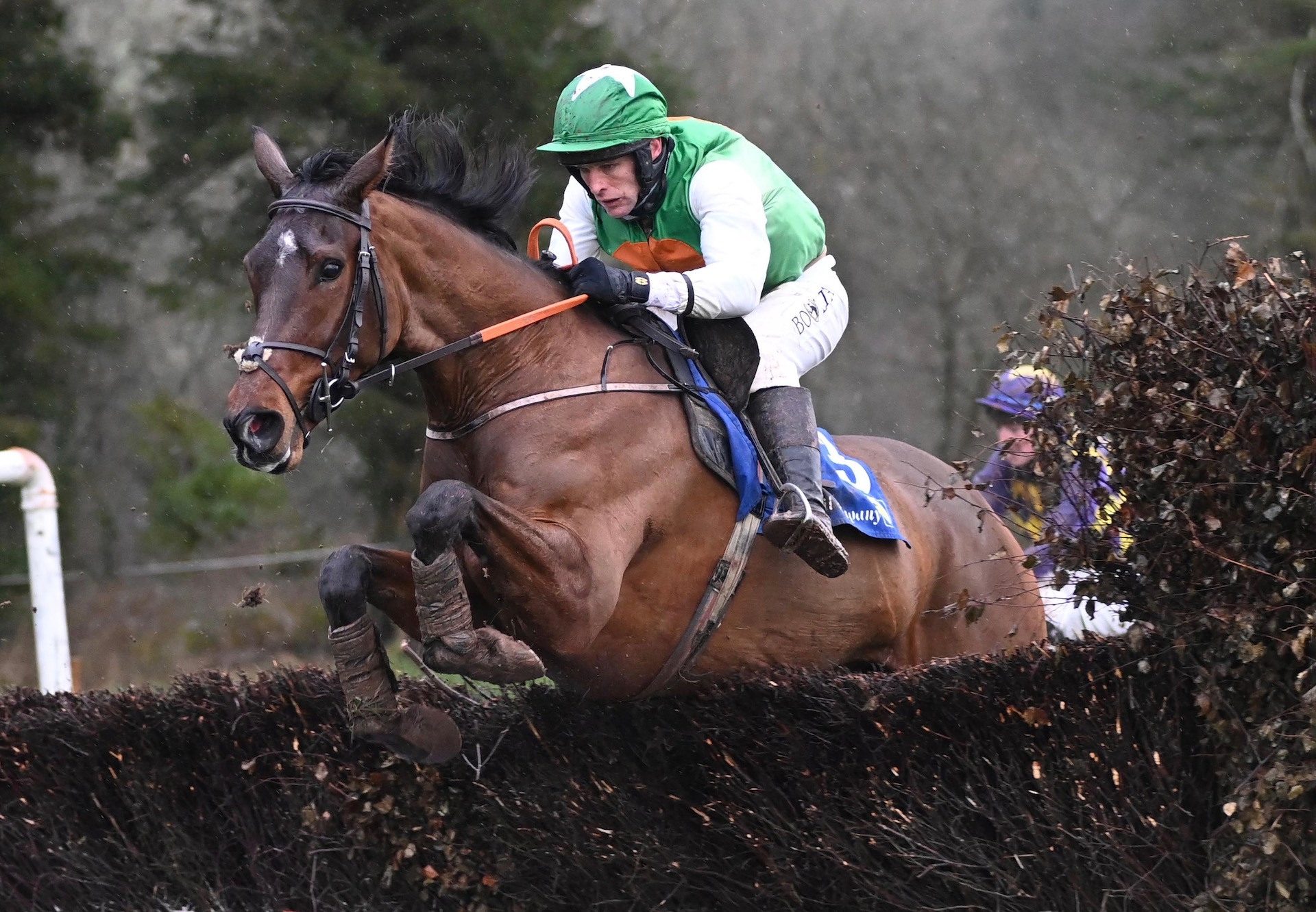 Indian Louis (Mahler) Wins The 5YO Maiden At Aghabullogue