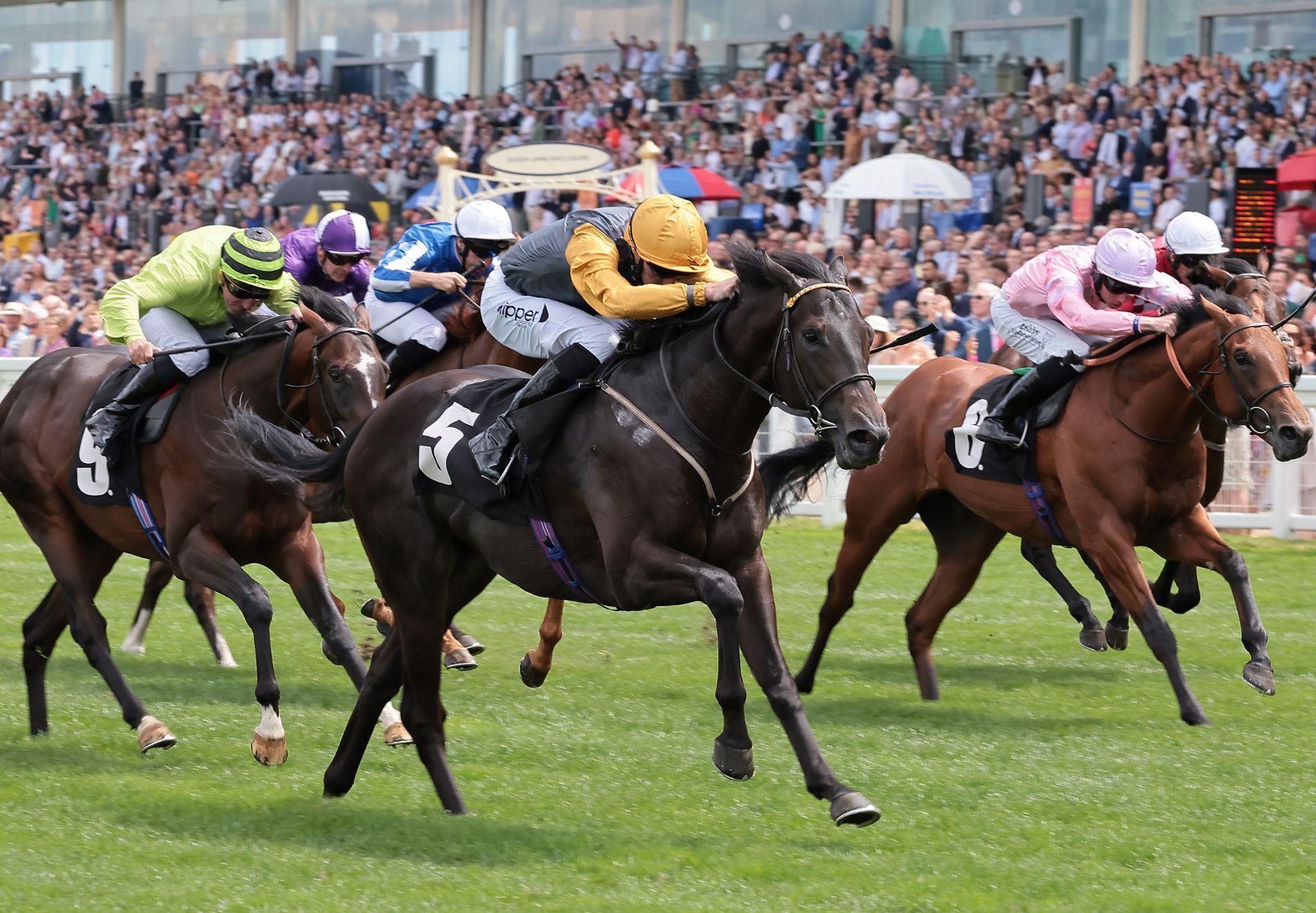 Indian Run (Sioux Nation) winning at Ascot